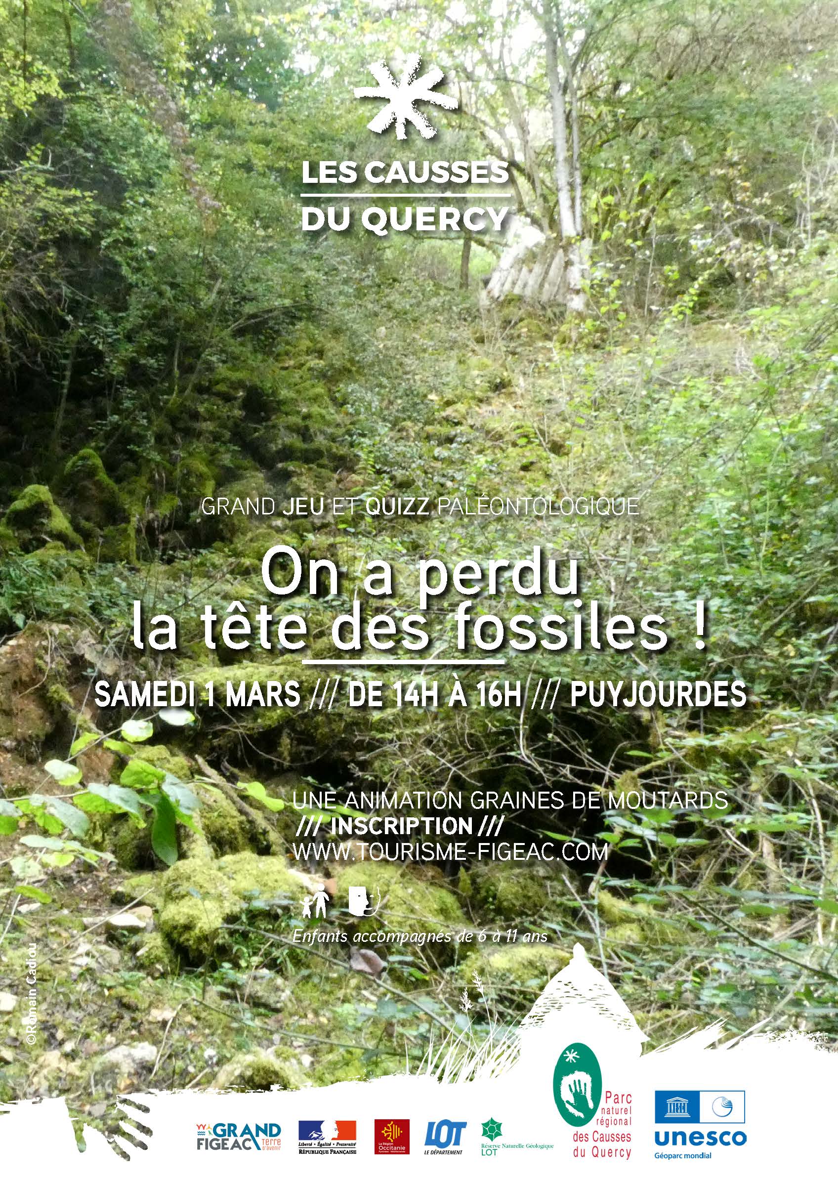 On a perdu la tête des fossiles  !