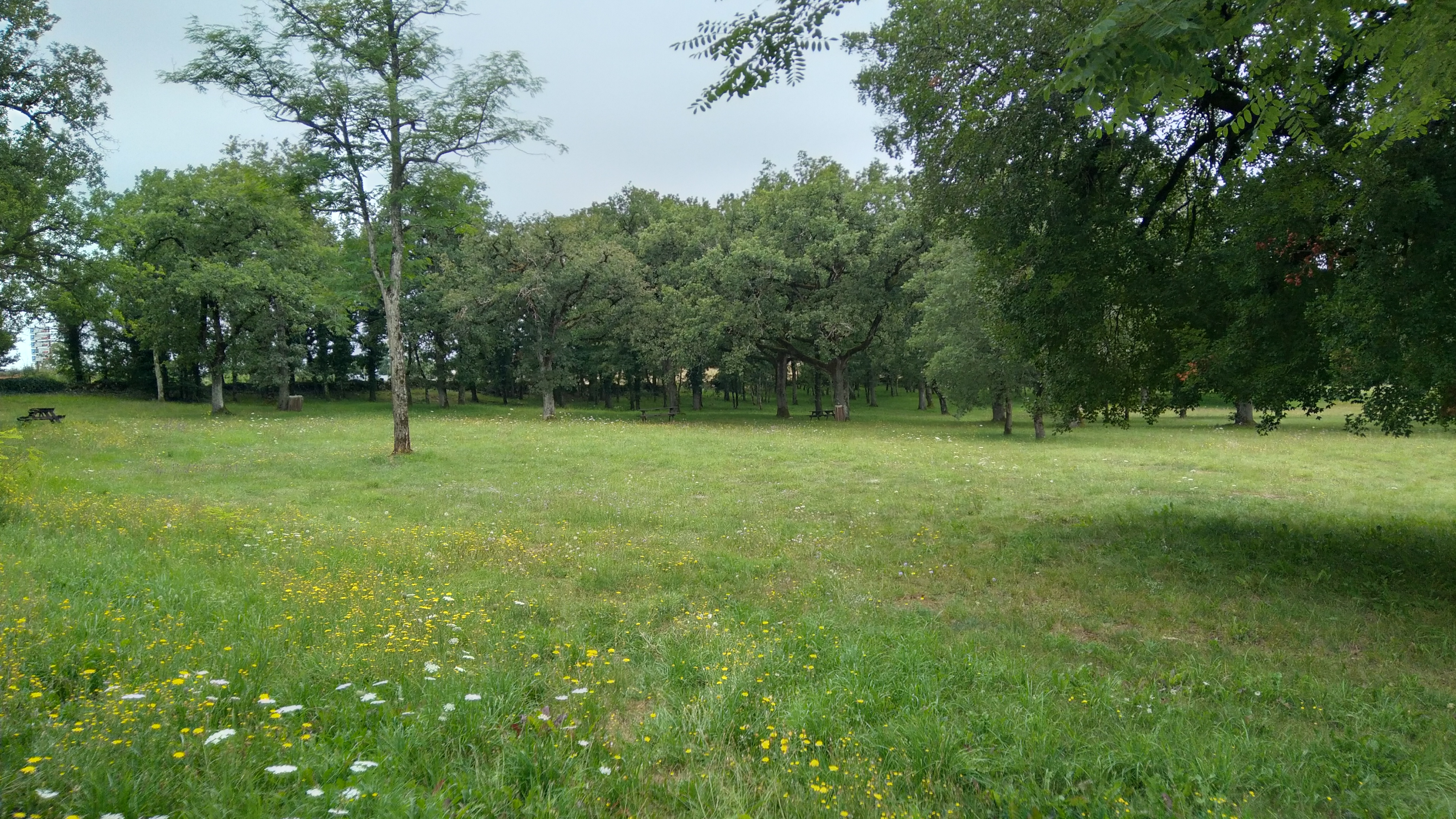 Aire du Stade — photo 2