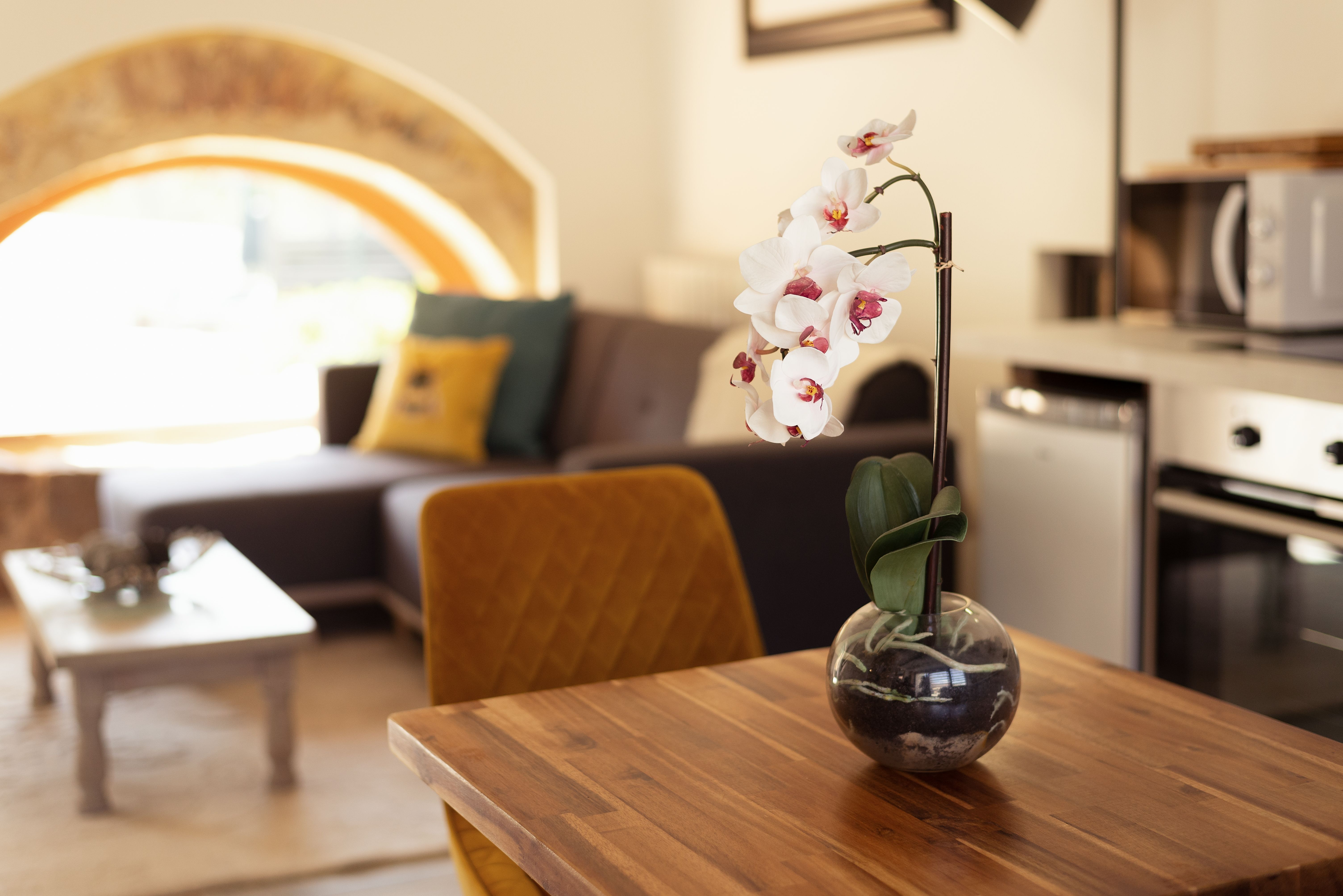 La Boulangerie - Larroque Haute Gites, Cassagnes - photo 11