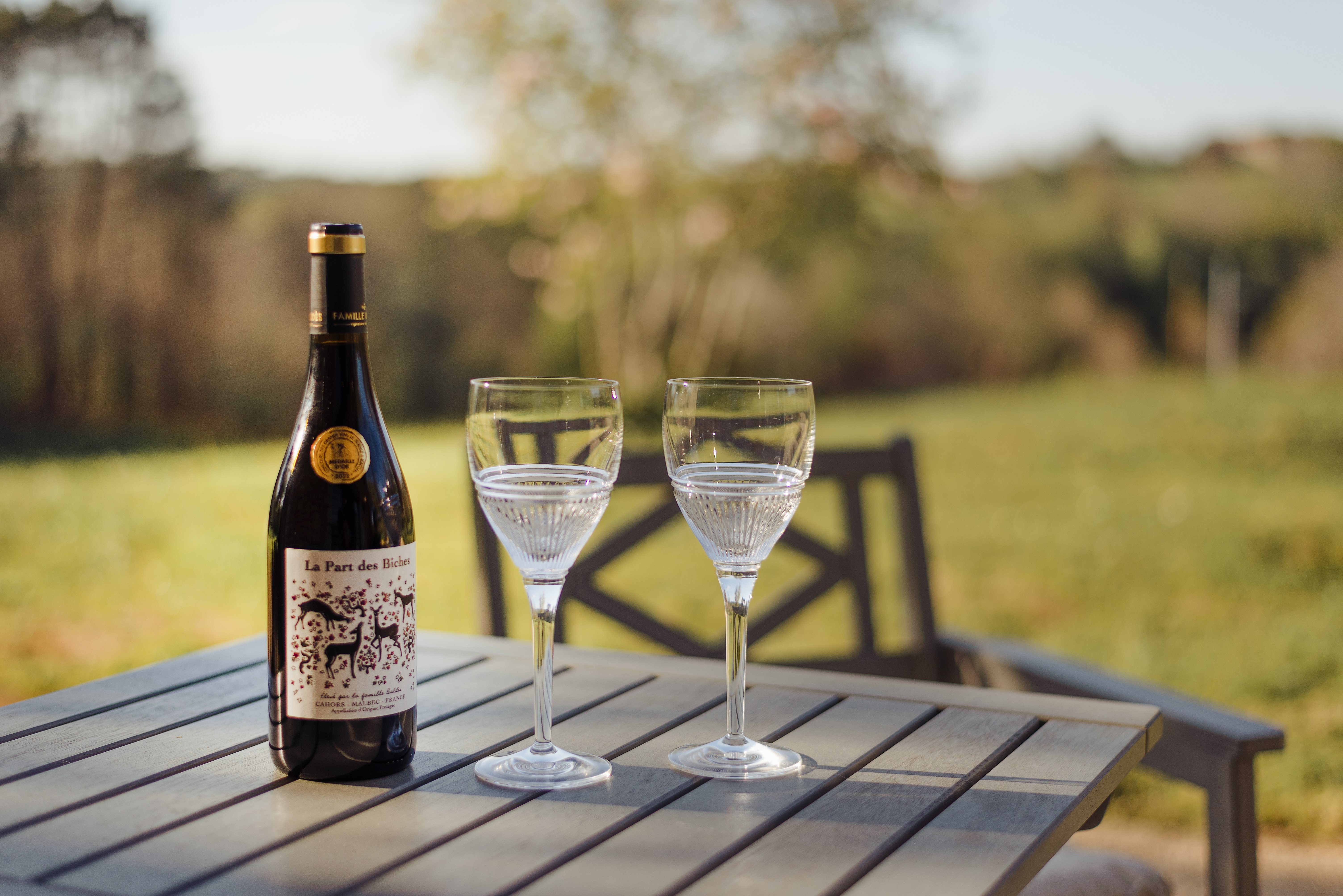 La Prairie - Larroque Haute Gites, Cassagnes - photo 11