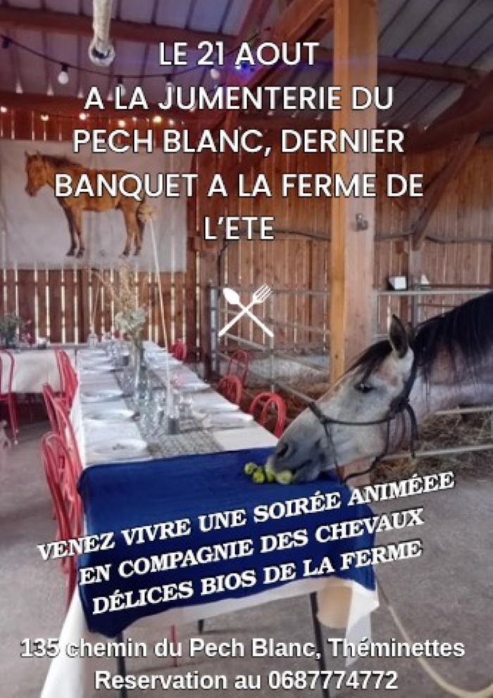 Les Banquets de l'été à la Jumenterie!