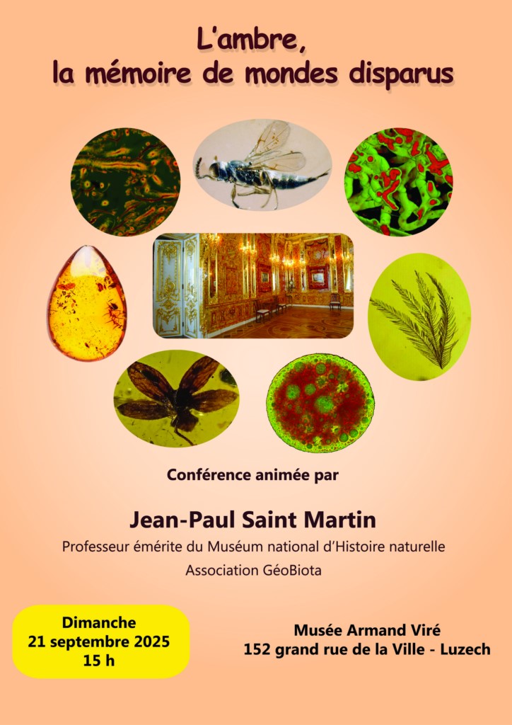 Conférence sur l'ambre, mémoire des mondes disparus par le paléontologue Jean-Paul SAINT MARTIN