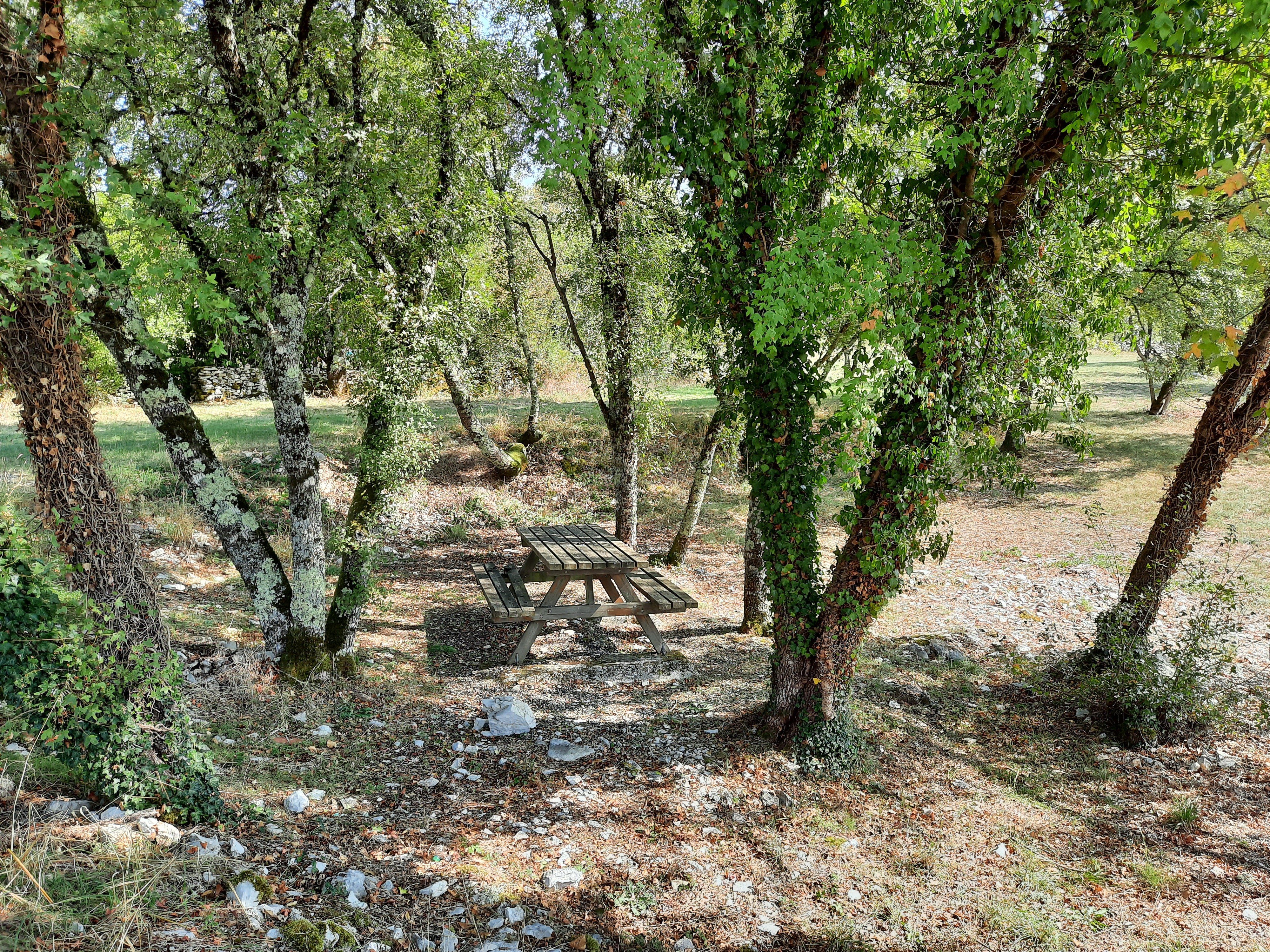 Aire de pique-nique de l'Escabasse - photo 2