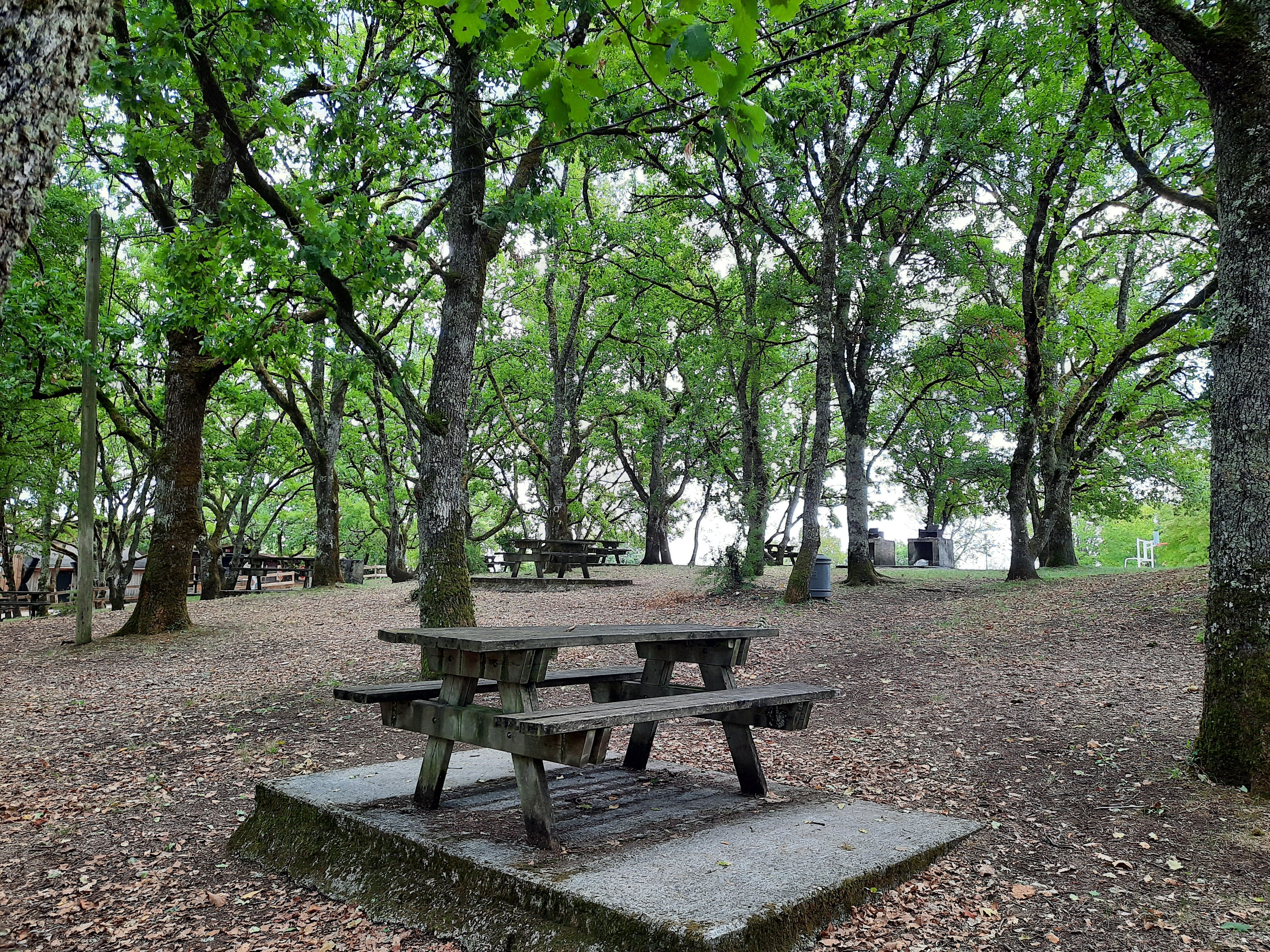 Aire de Pique-nique du Mont St Cyr — photo 2