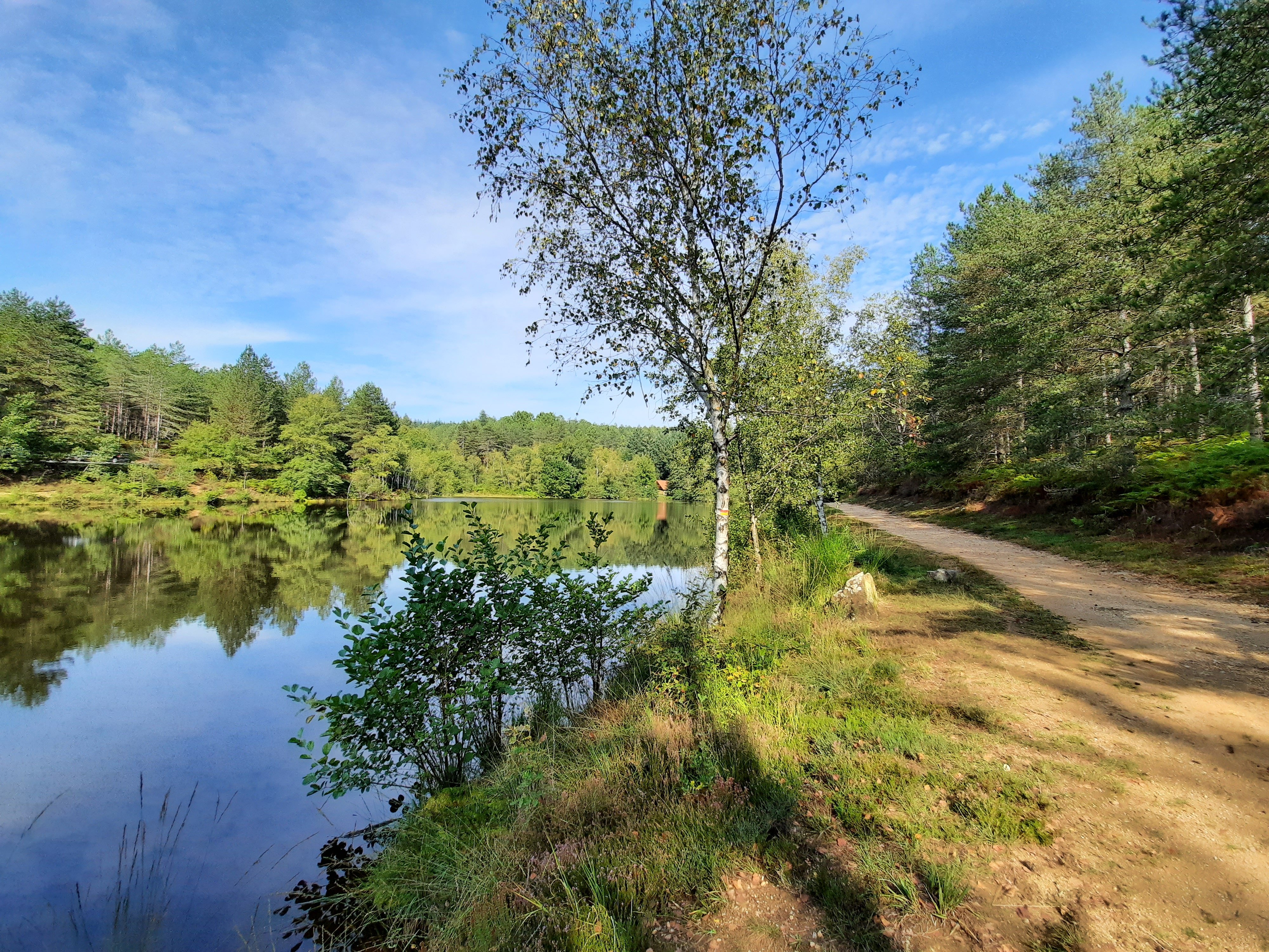 Aire de pique-nique du Plan d'eau des Sagnes — photo 2