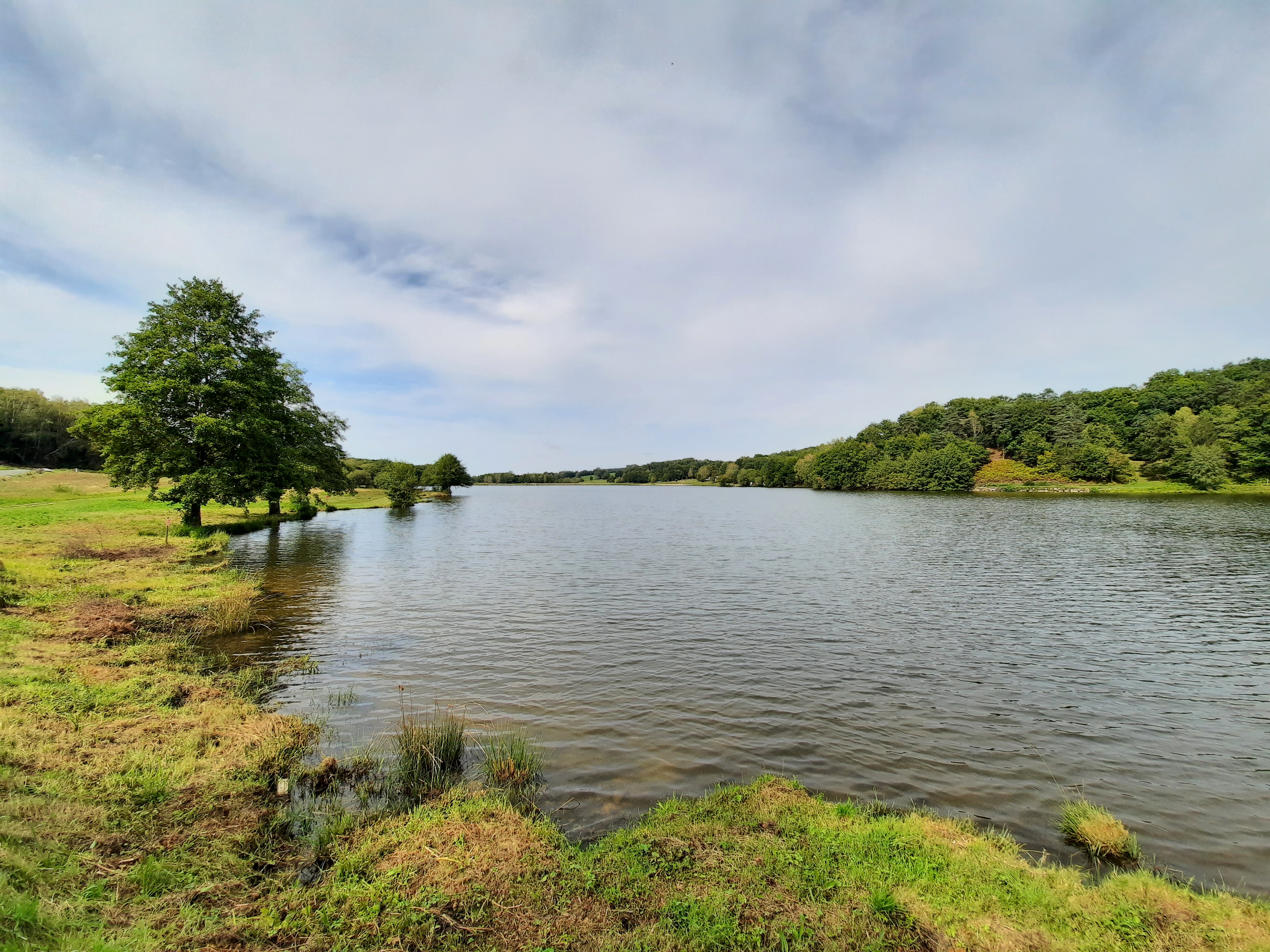 Aire de pique-nique du Lac du Torlerme - Presqu'île