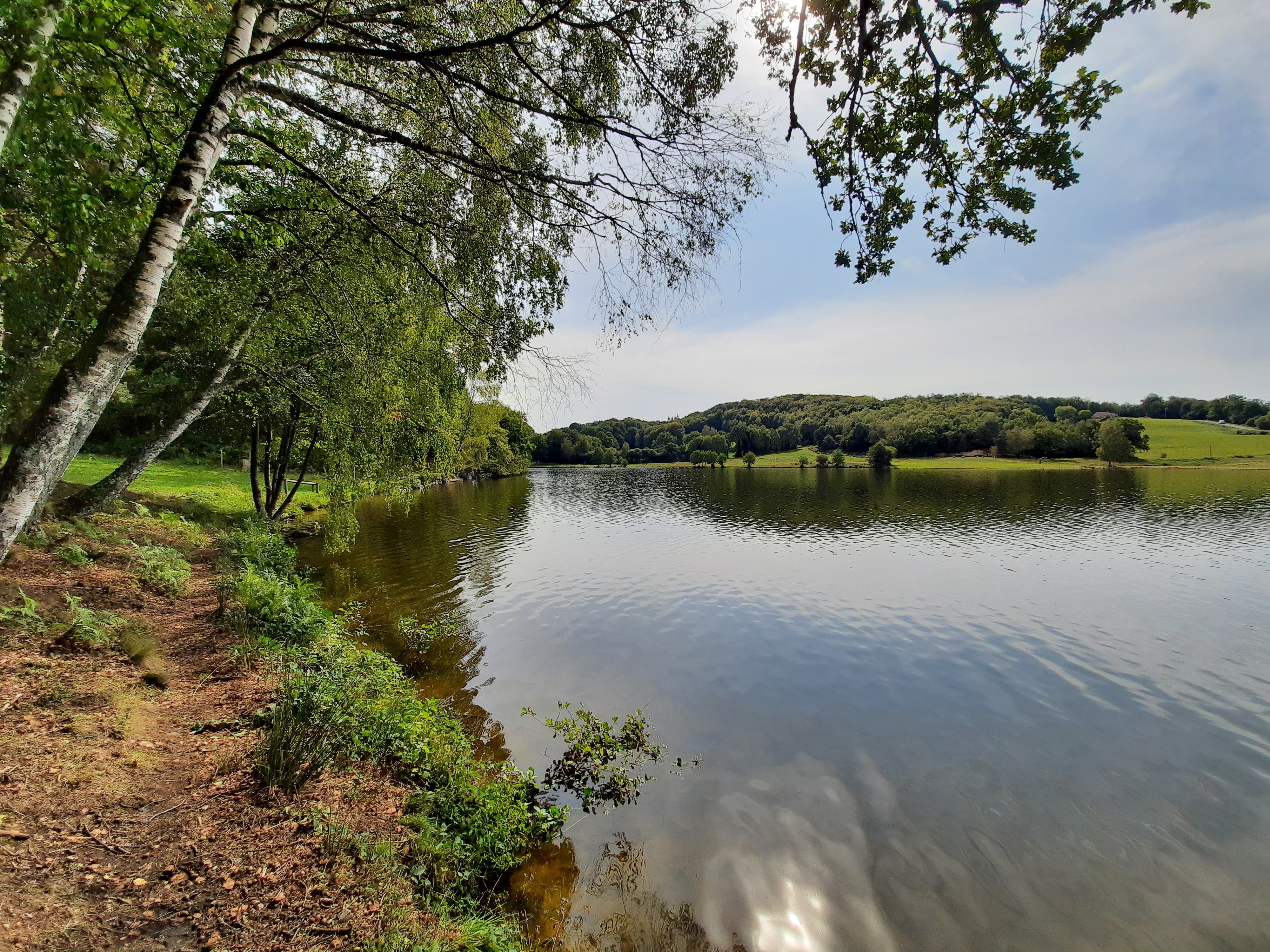Aire de pique-nique du Lac du Torlerme - Presqu'île — photo 3