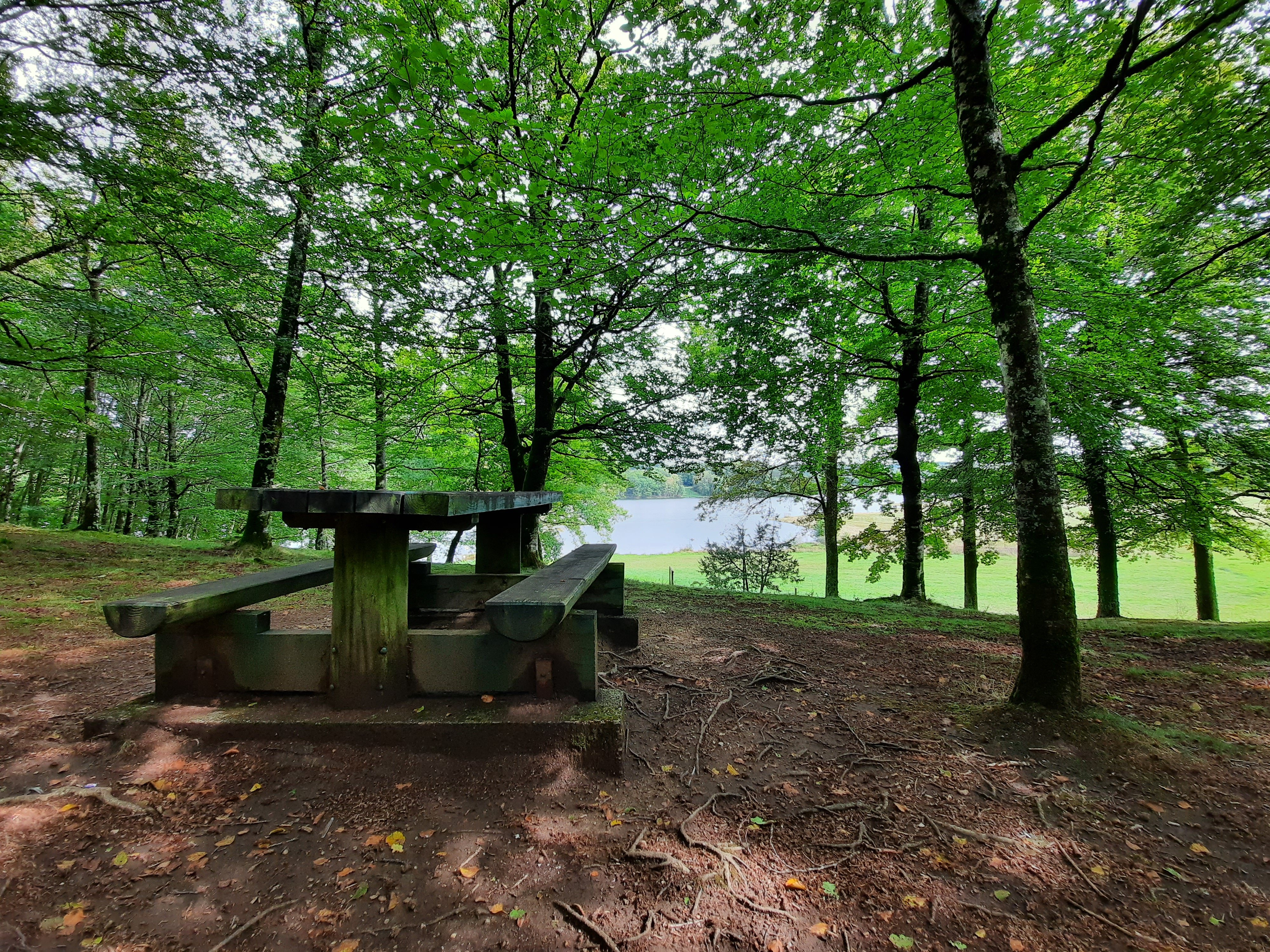 Aire de pique-nique du Lac du Torlerme - Presqu'île - photo 2