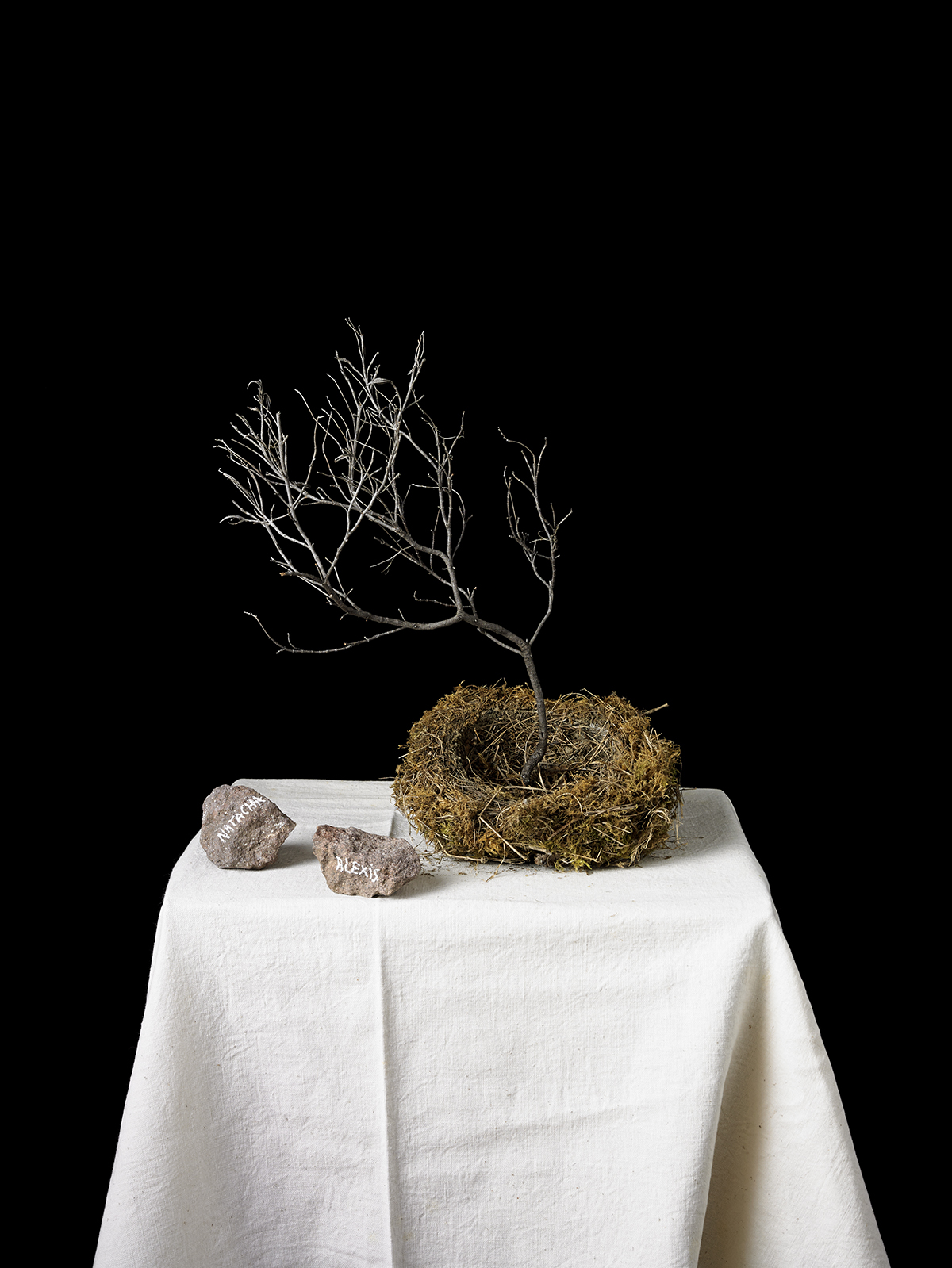 Sous les cendres de l'histoire – Exposition et ouverture de l'atelier de Natacha Nikouline