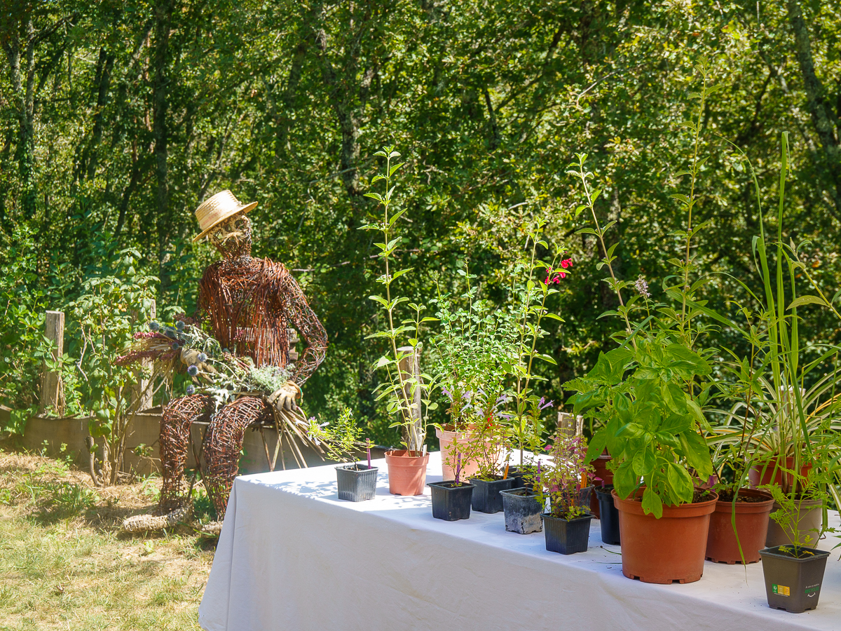 Allées ouvertes au Jardin Bourian