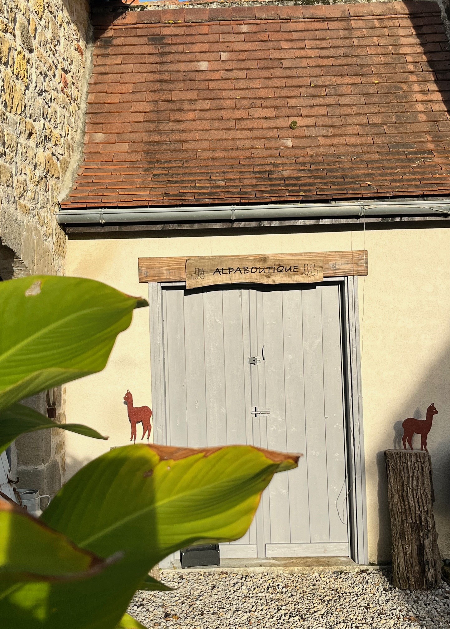 Les Alpacas de Fons, Fons