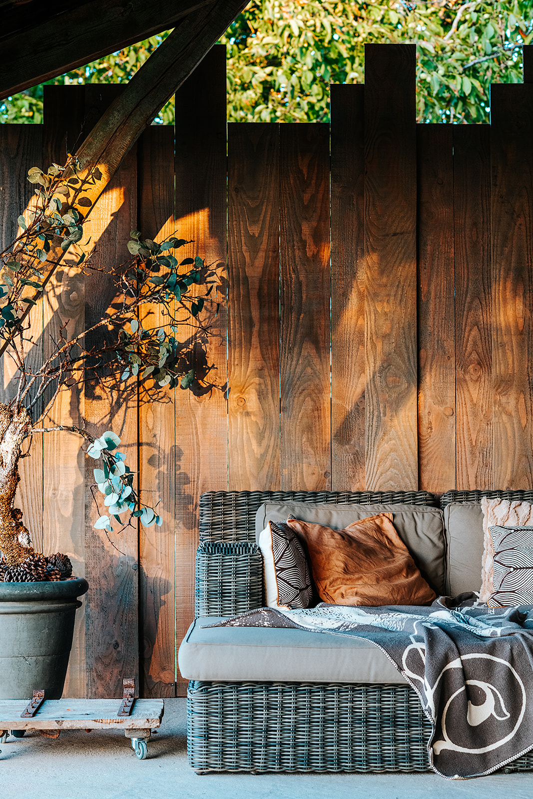 Domaine Villoire, Cassagnes - photo 22