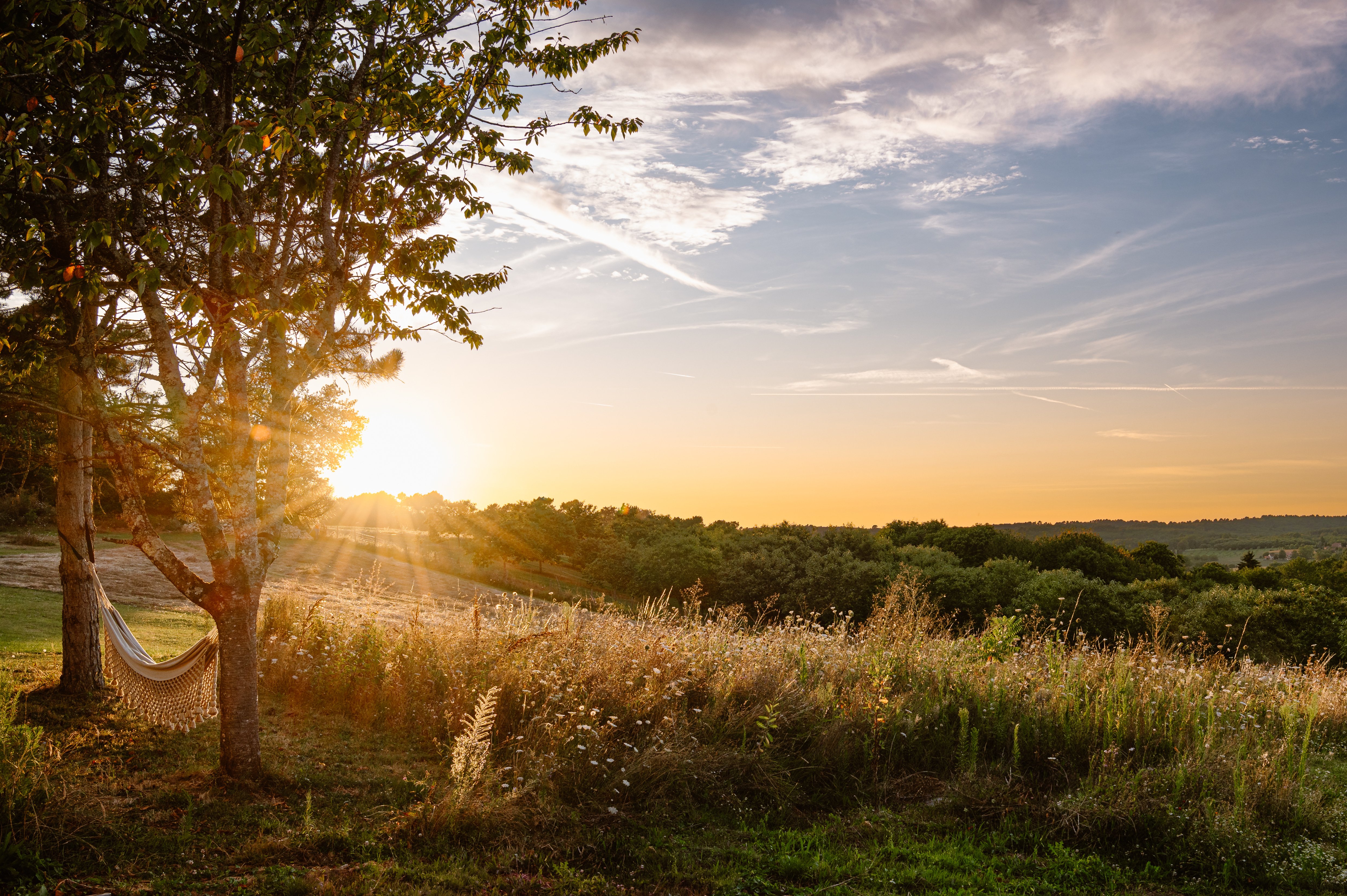 Domaine Villoire, Cassagnes - photo 37