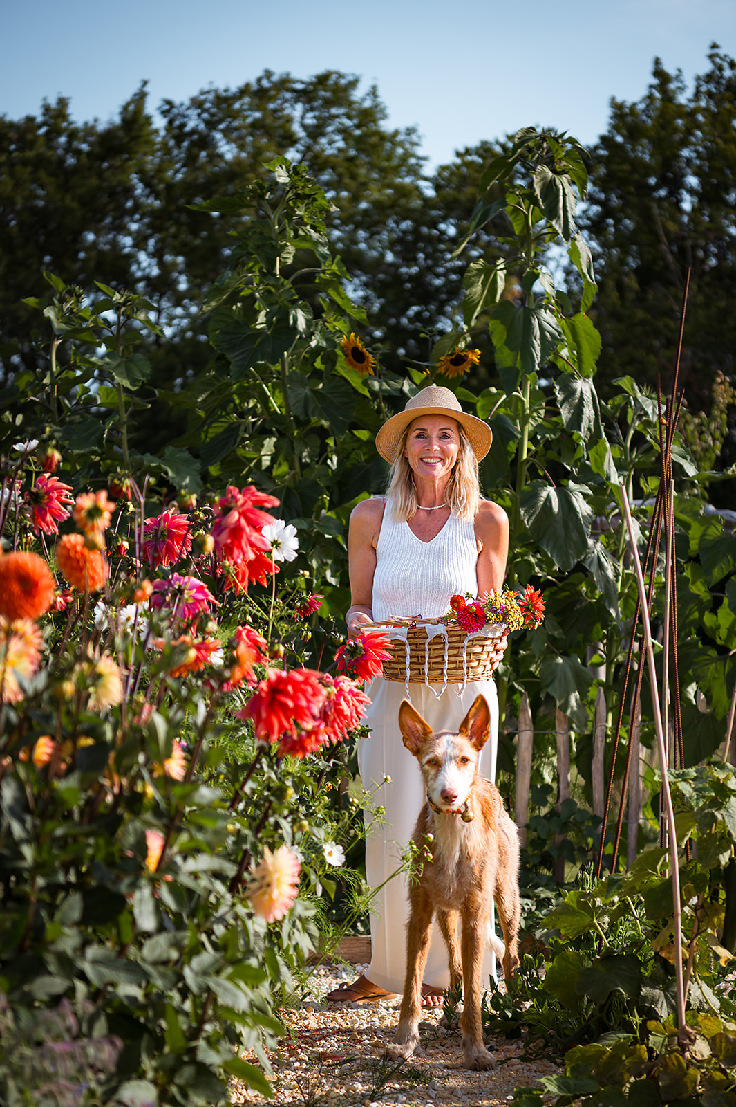 Domaine Villoire, Cassagnes - photo 40