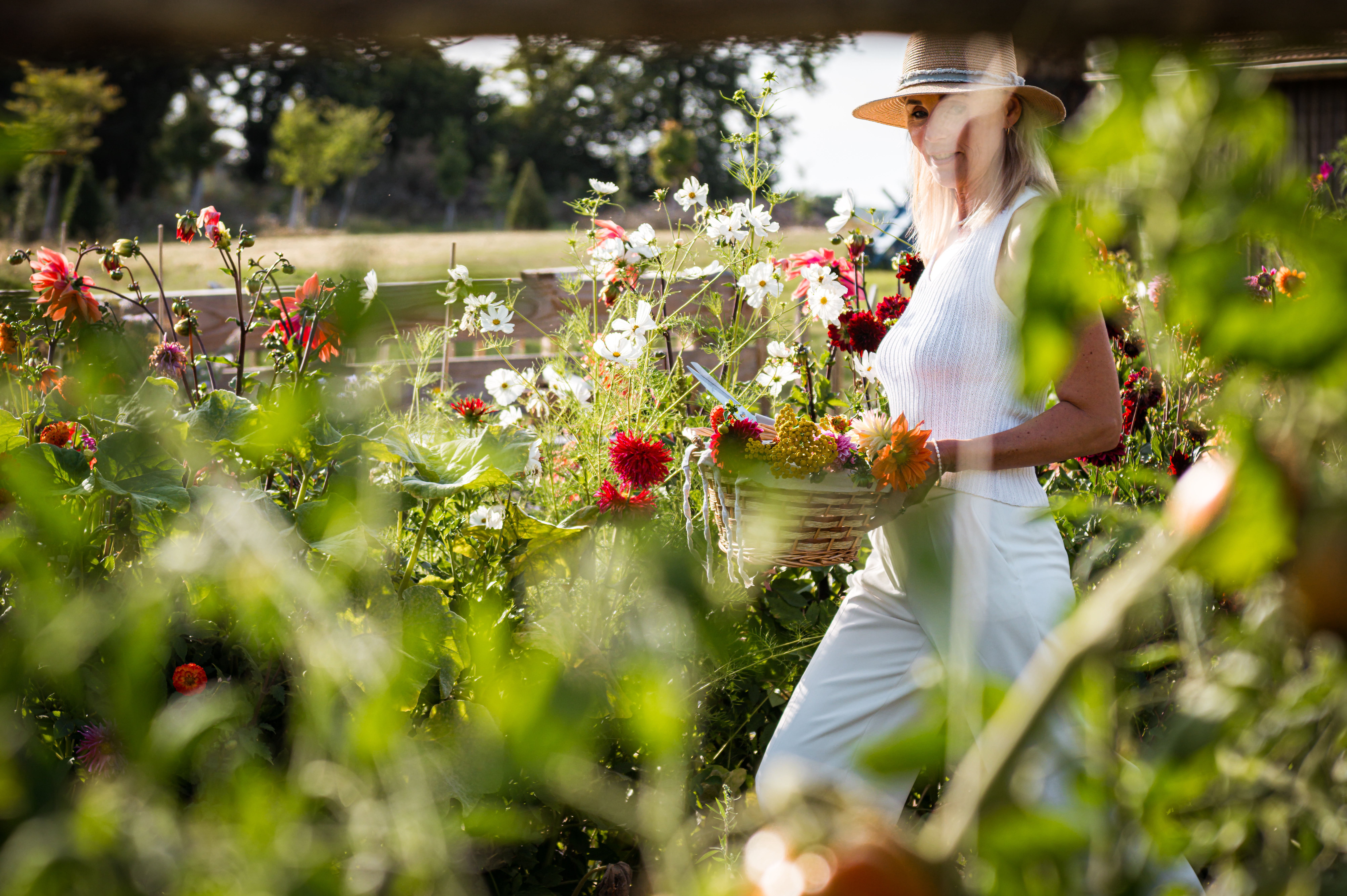 Domaine Villoire, Cassagnes - photo 41