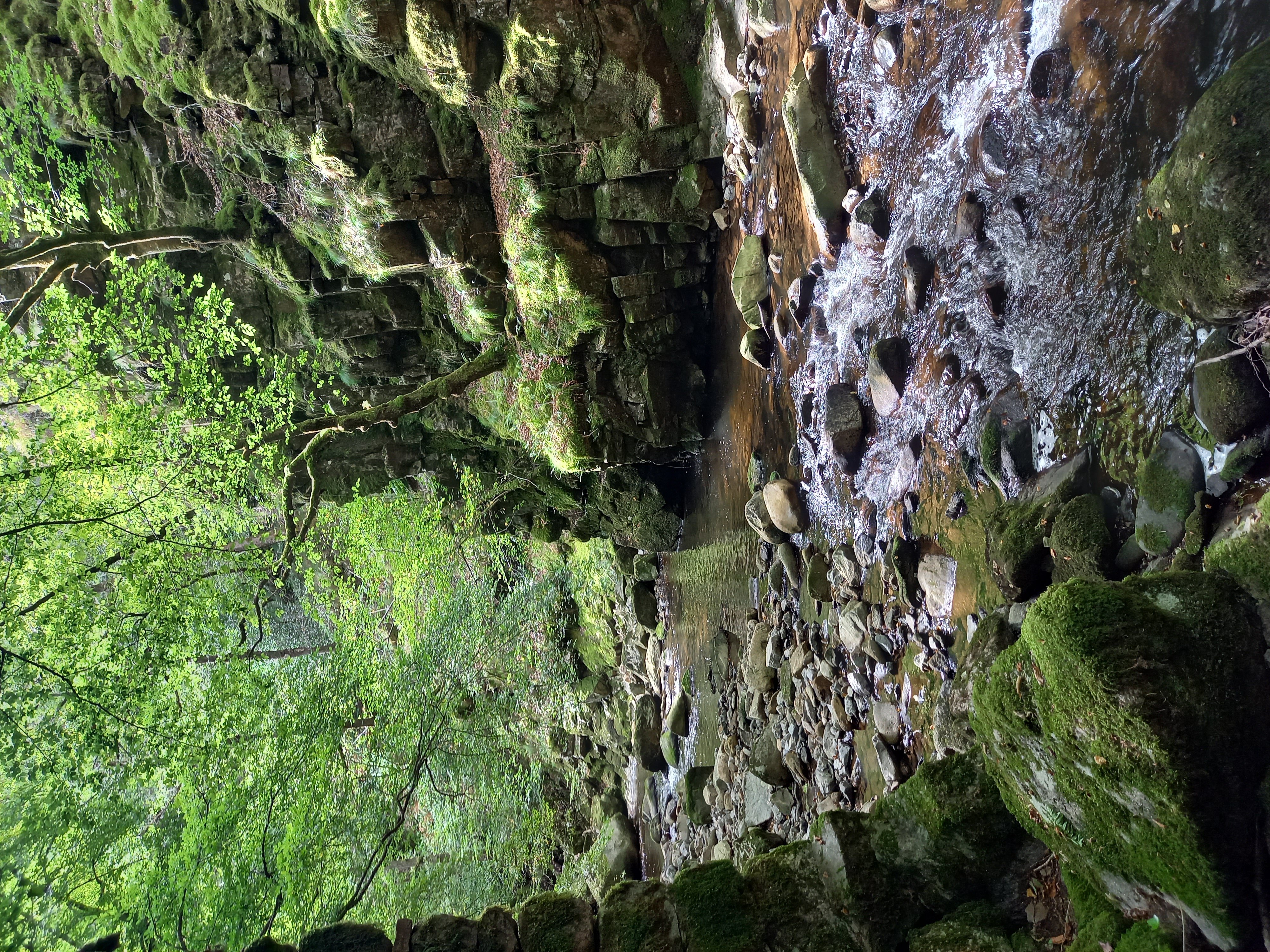 Au Pays des Verriers