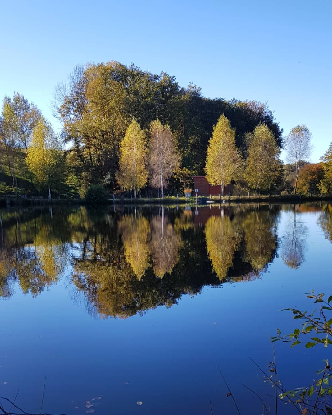 Gîte du Bois du Château - Meublé 1, Latronquière - photo 2