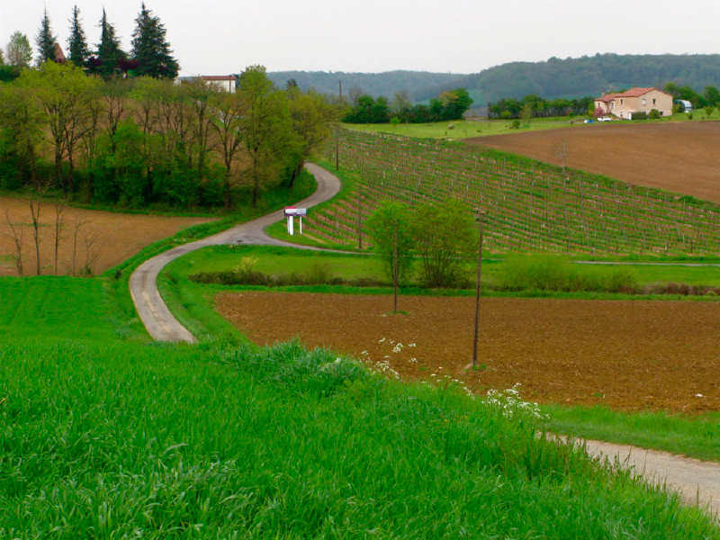 Au Fil des Vallées du Lendou et du Tartuguier, Lendou-en-Quercy - photo 2