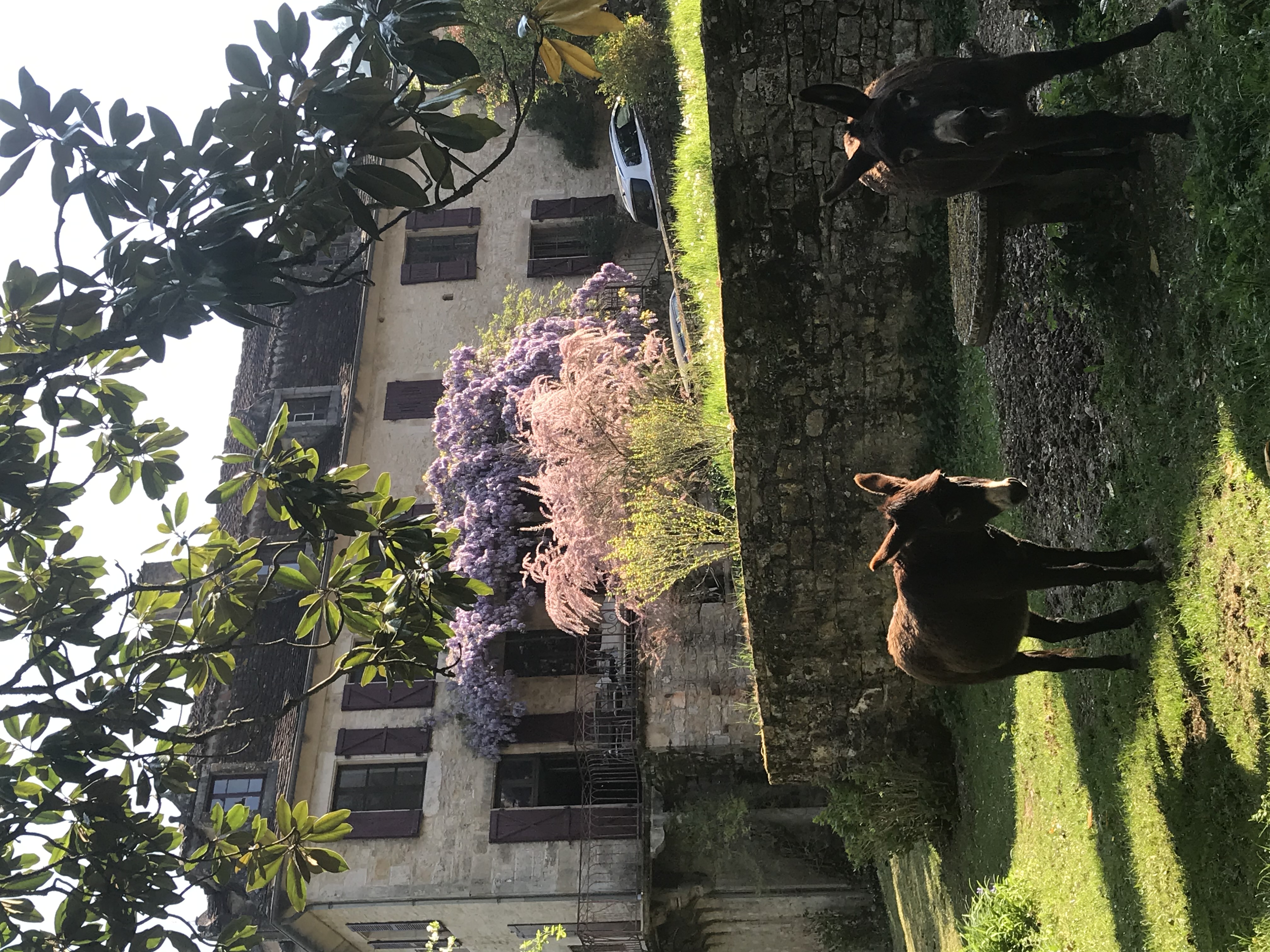 Manoir d'Autoire, Autoire - photo 2