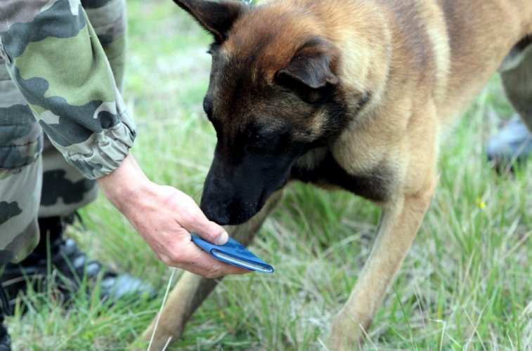80ème anniversaire du Centre Cynophile