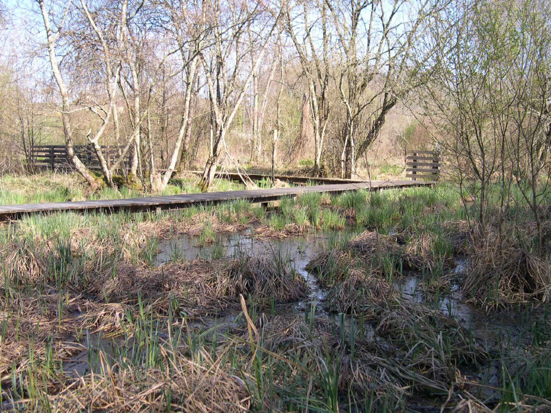 La Vallée de la Masse, Les Arques - photo 19