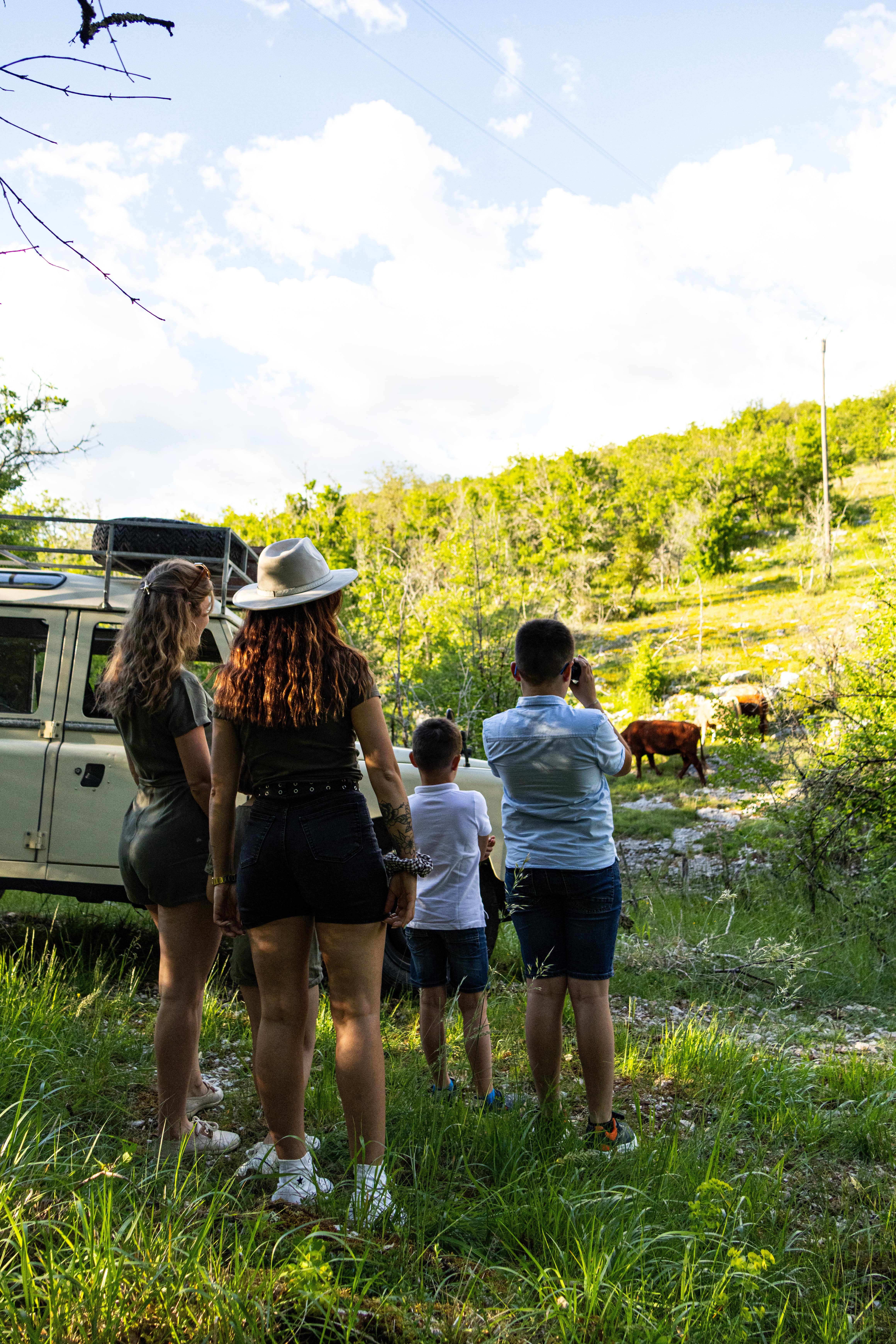 Le Safari de Saint-Cirq-Lapopie