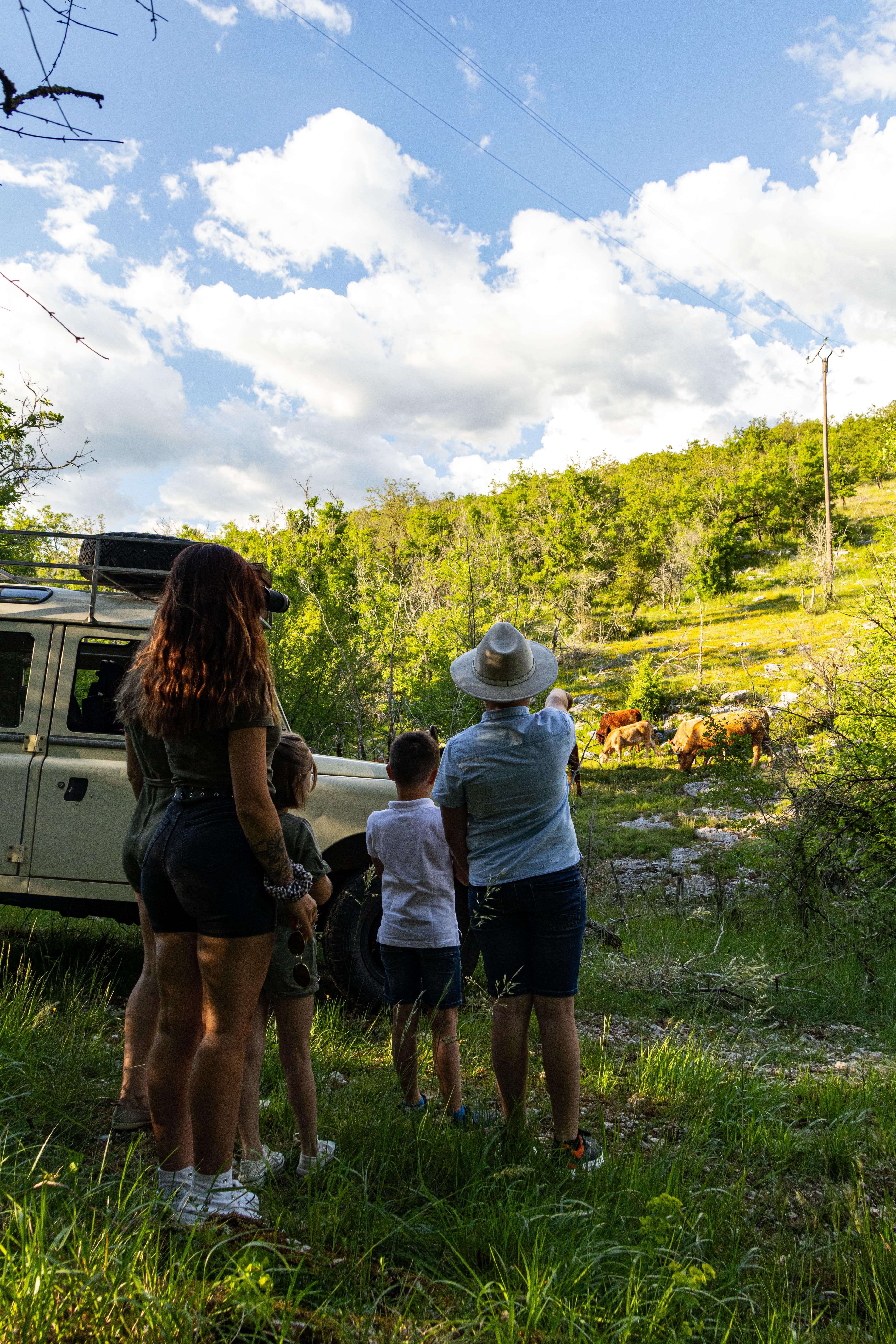 Le Safari de Saint-Cirq-Lapopie, Saint-Cirq-Lapopie - photo 13