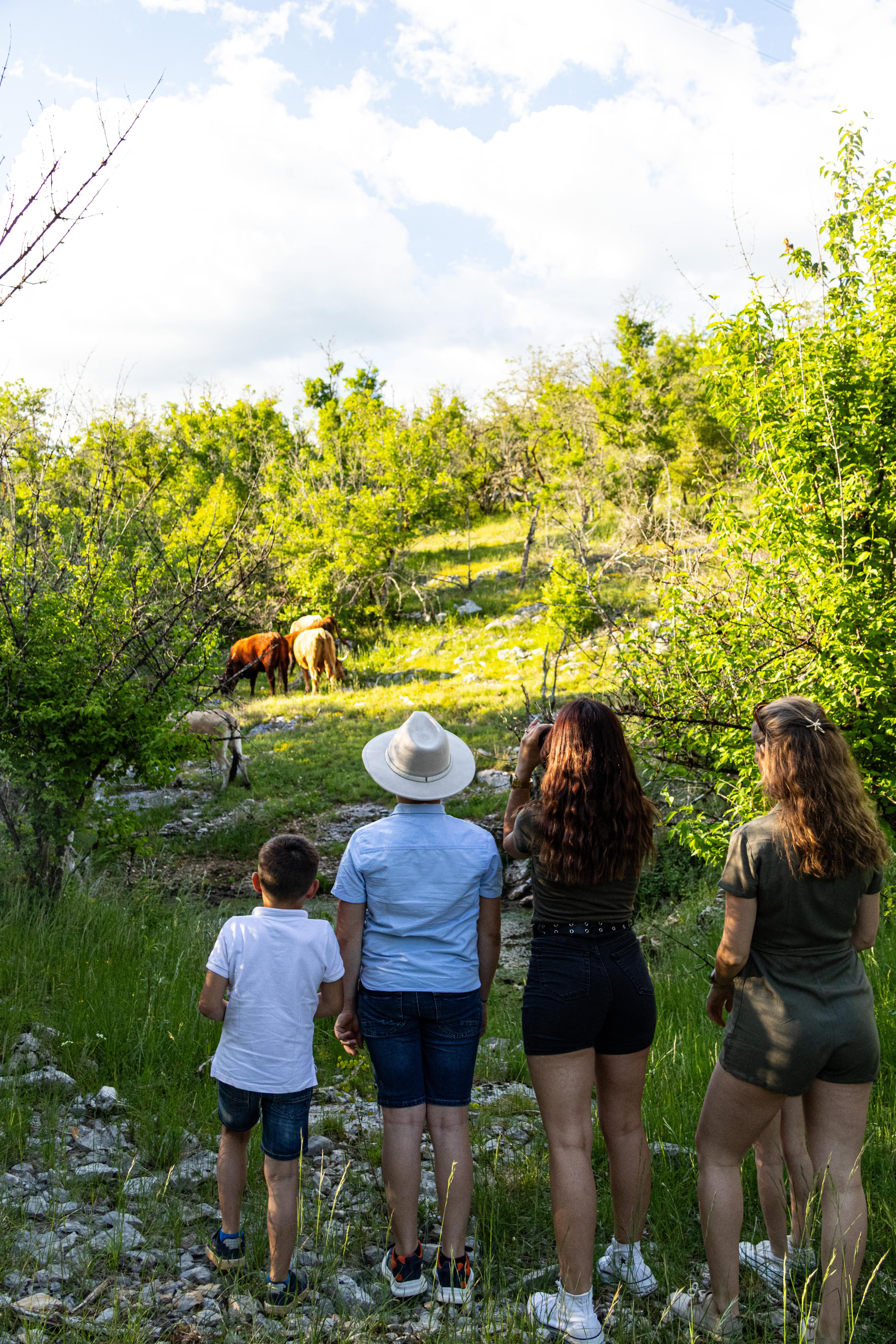 Le Safari de Saint-Cirq-Lapopie, Saint-Cirq-Lapopie - photo 14