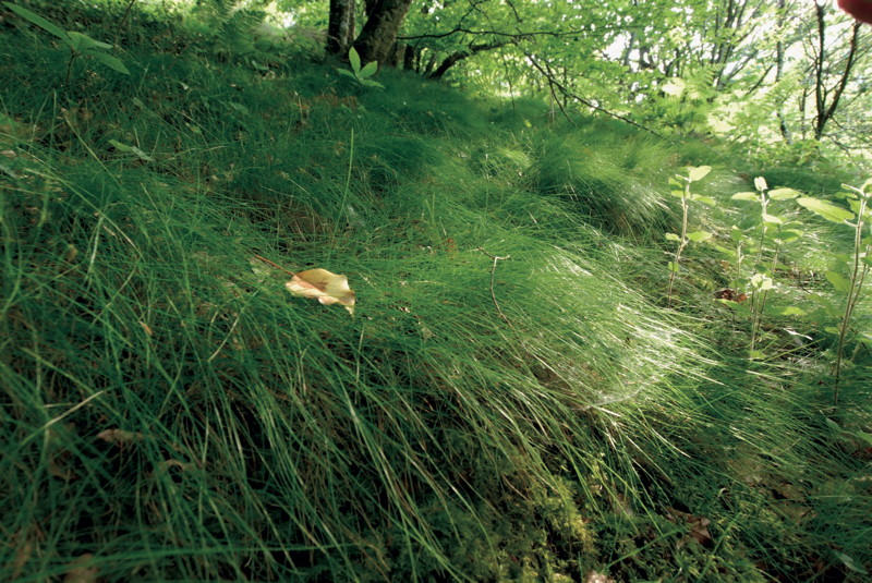 Balade aux Deux Moulins, Sainte-Colombe - photo 2