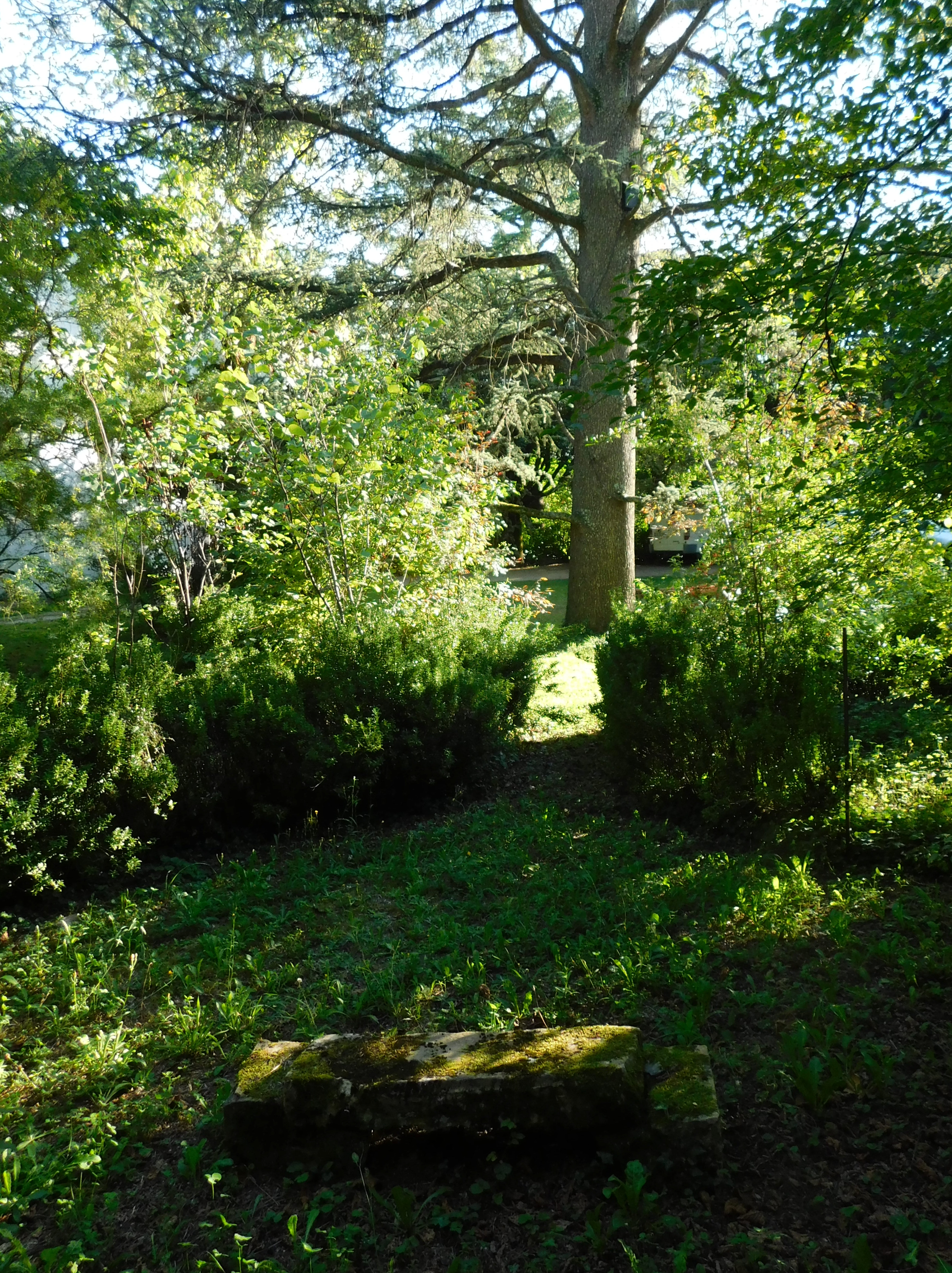 L'Olié, Saint-Céré - photo 2