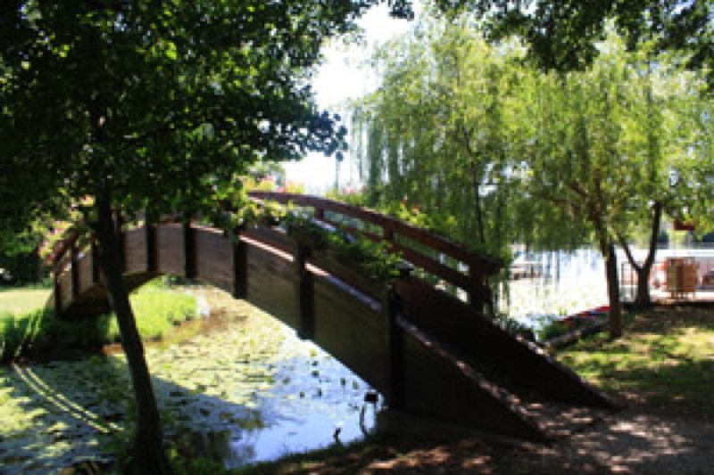 Baignade de Caïx à Luzech dans la rivière Lot, Luzech - photo 12