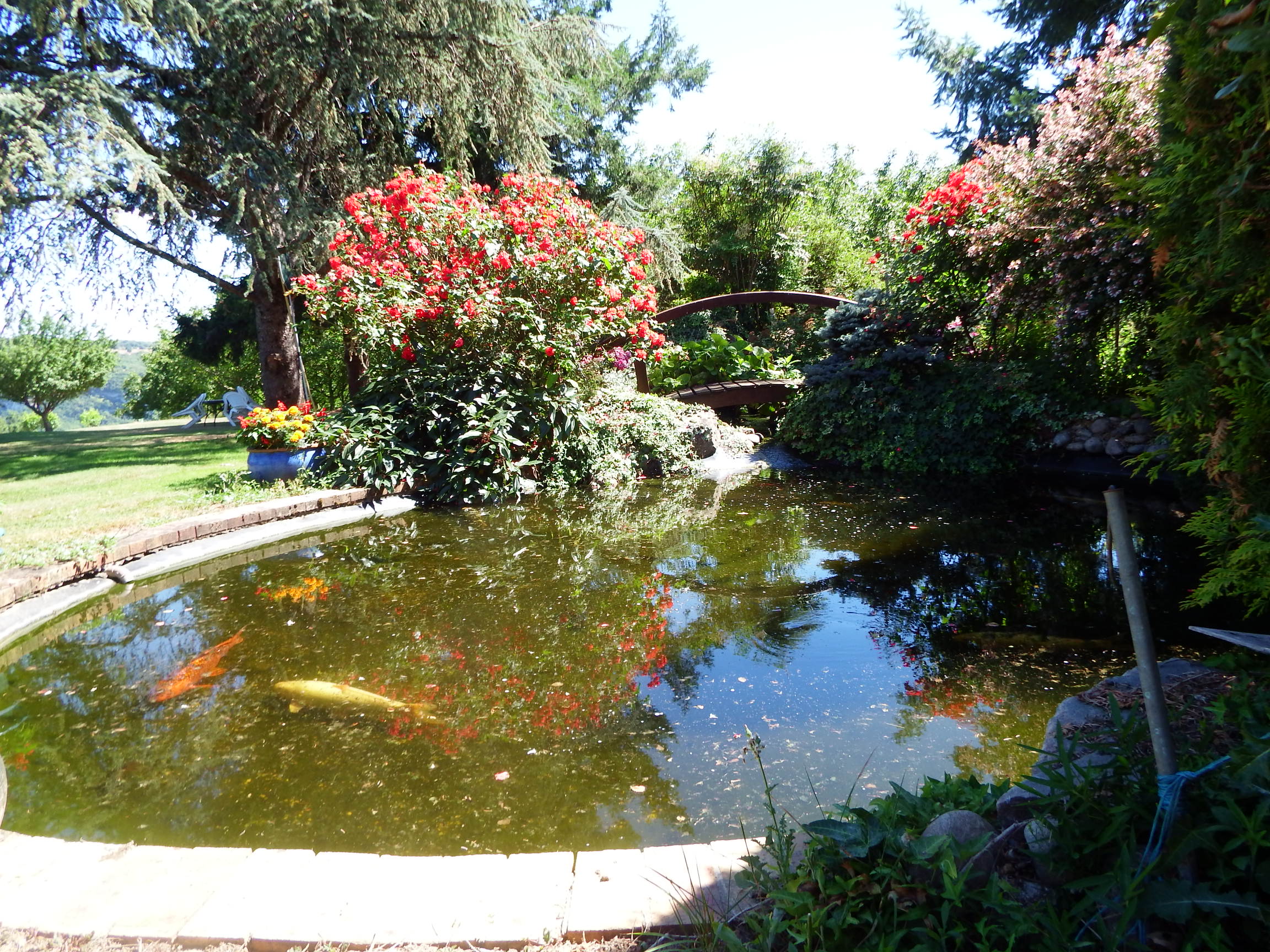 Ferme de Cabrejou, Saint-Denis-lès-Martel - photo 2