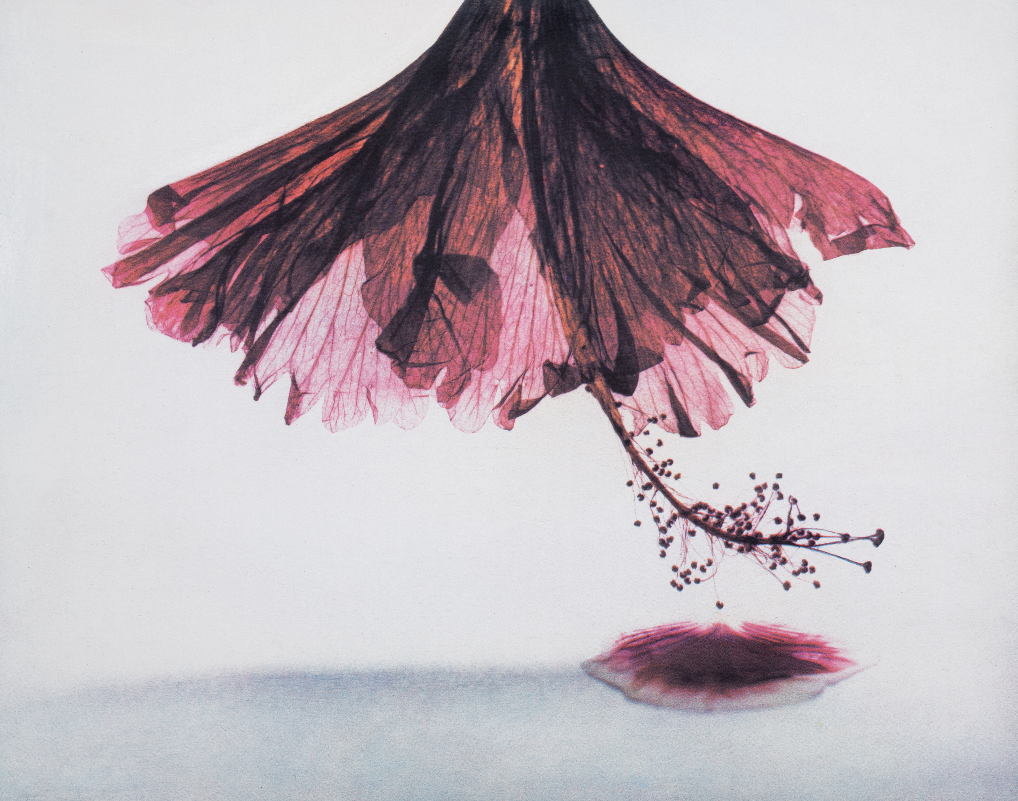 L'ANTIDOTE - Exposition "L'impermanence"