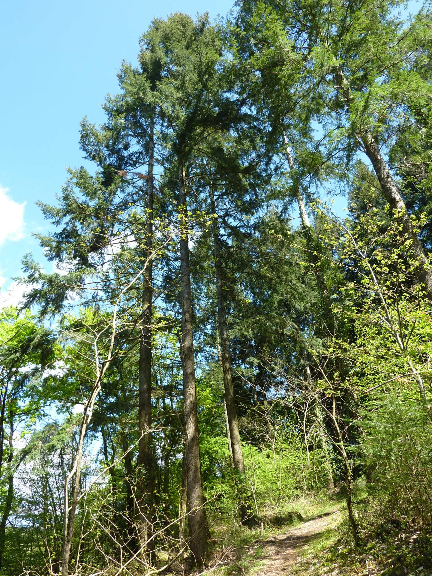 Le Sentier des Arts, Latouille-Lentillac - photo 3