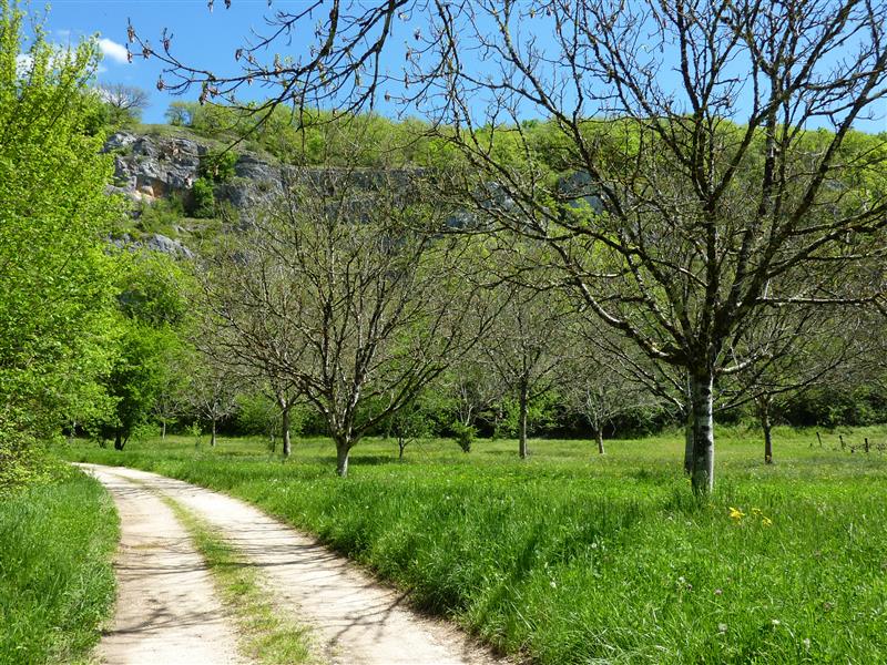 Bourgnou - Noyers sur le causse_10 © Lot Tourisme - C. Sanchez