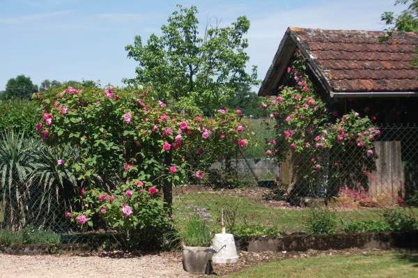 Au Gîte d'Astorgues, Prudhomat - photo 14