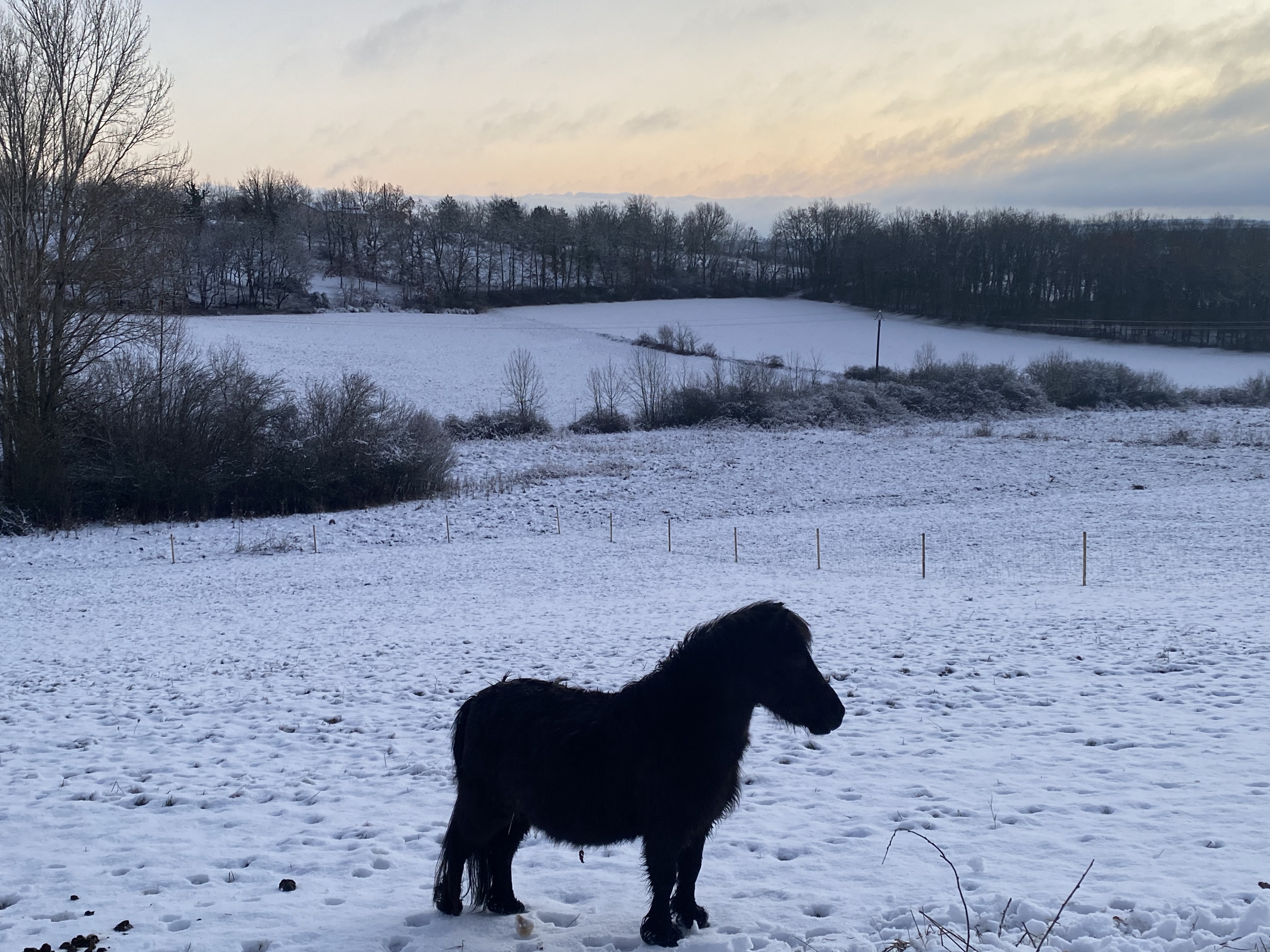 Gîte Kandinsky 8 personnes - Mas d'Huleya, Montdoumerc - photo 18