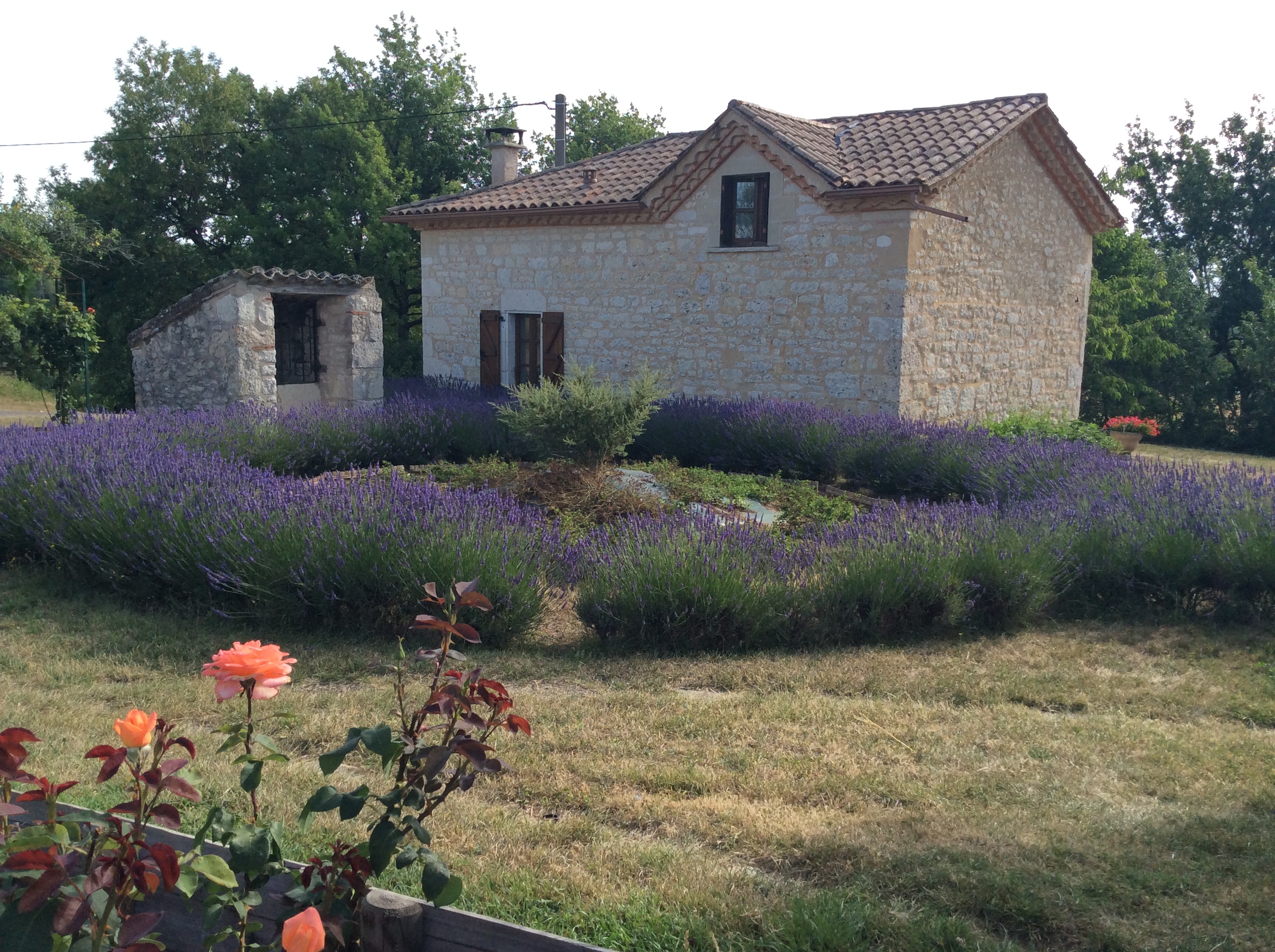 Le Poujal, Pern - photo 7