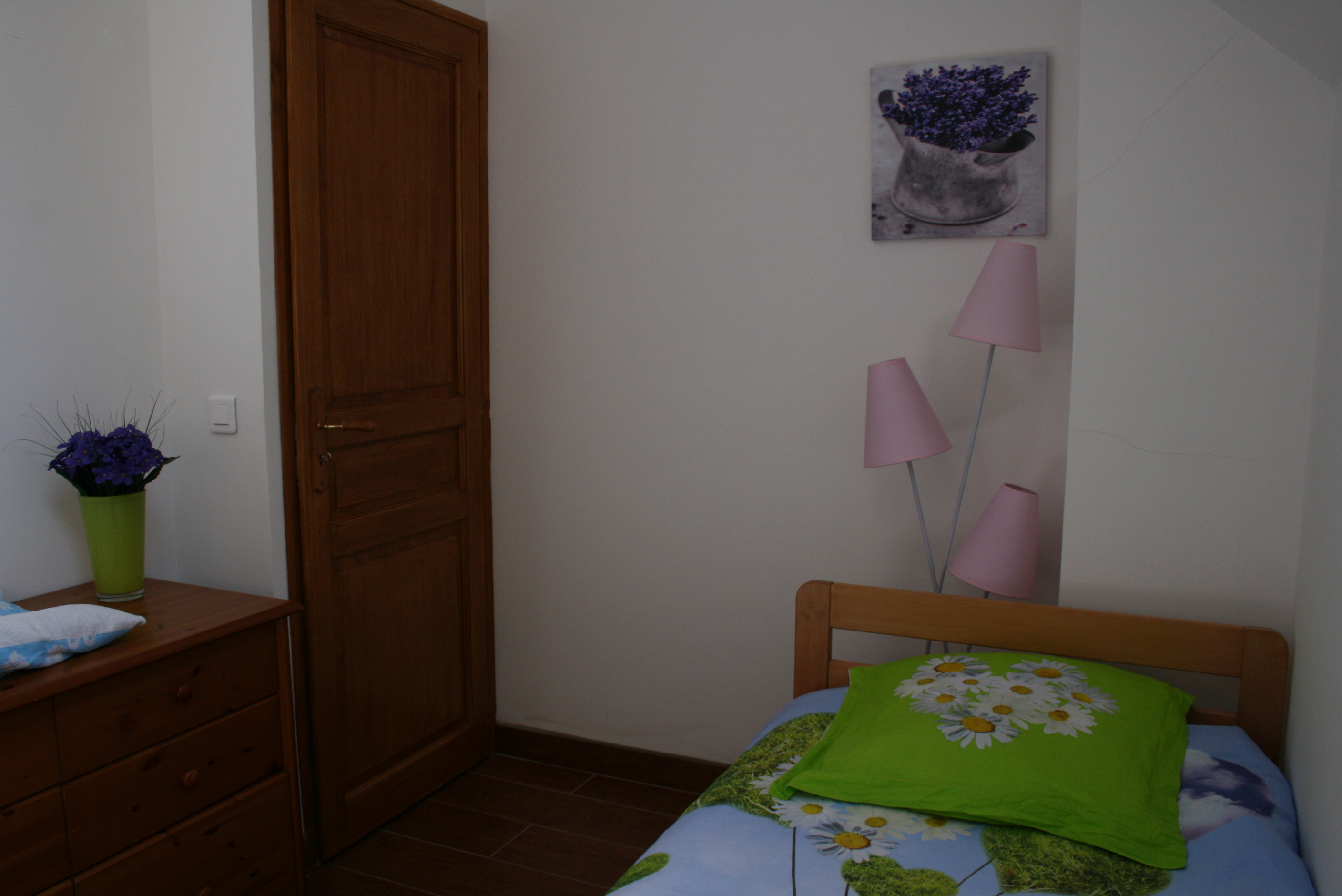 Les Plaines, Saint-Chamarand - photo 4