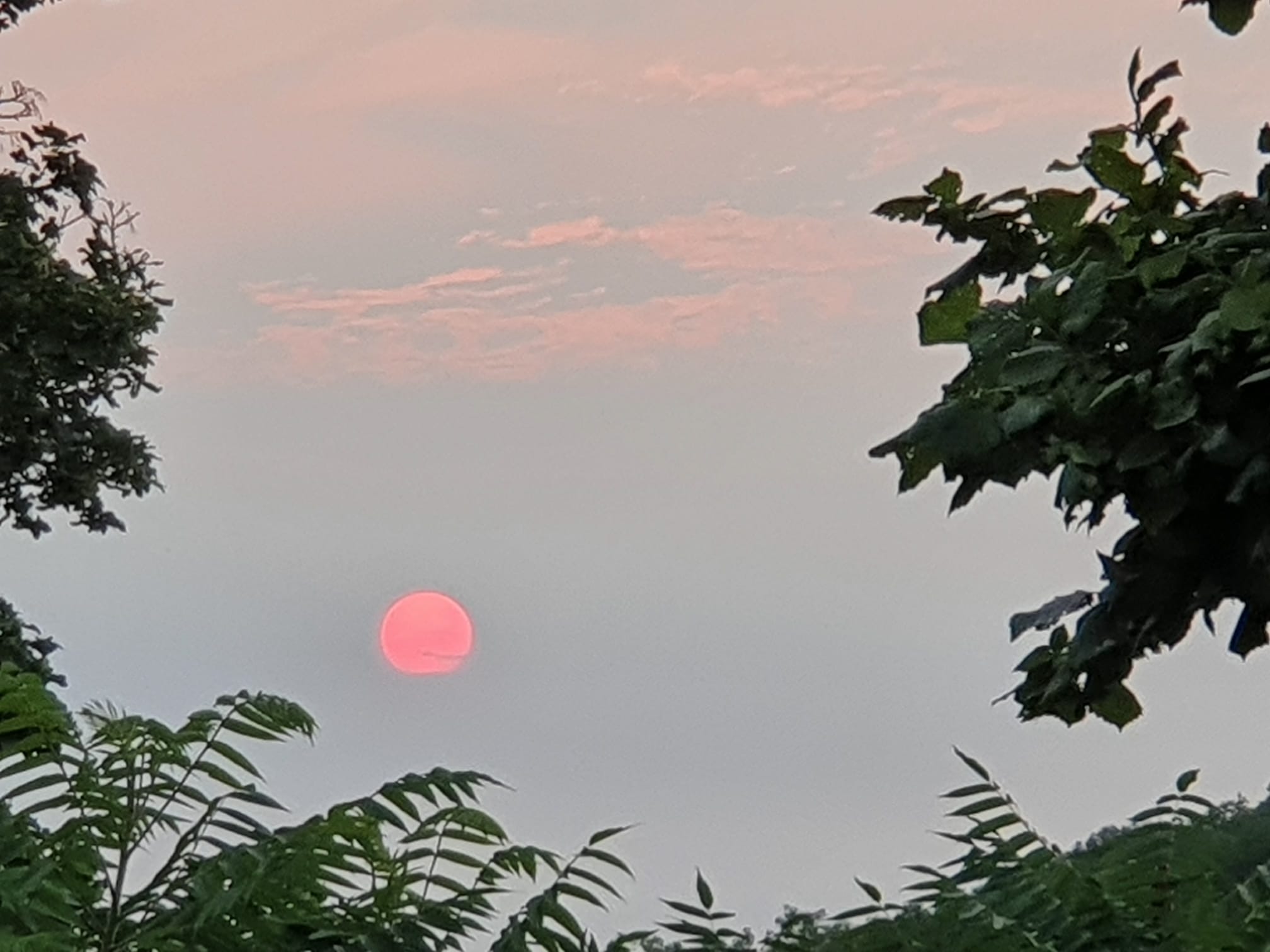 Le Gîte du Hameau, Saint-Clair - photo 19