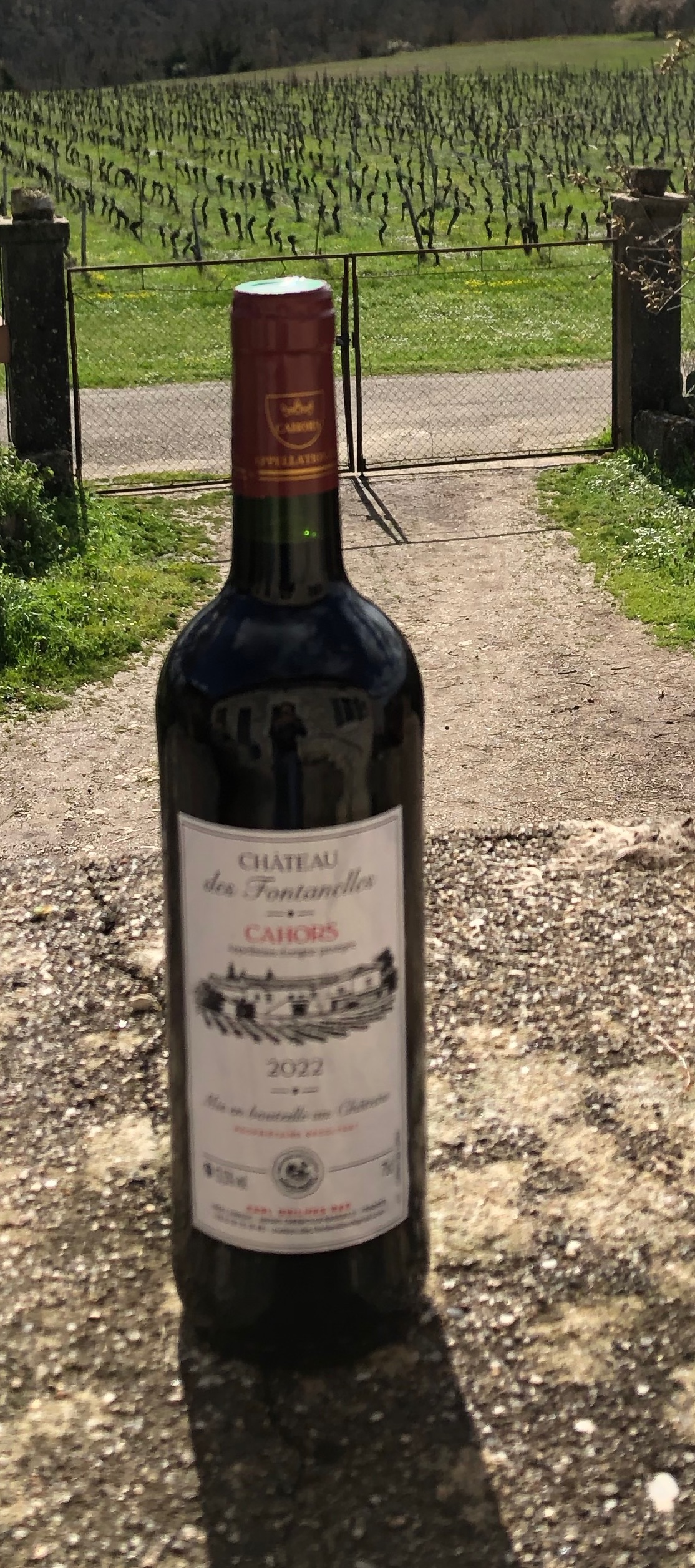 Château des Fontanelles, Trespoux-Rassiels - photo 3
