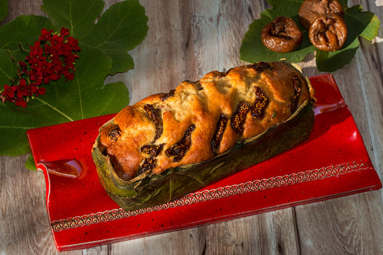 Atelier cuisine : les plantes sauvages et vivaces d’automne à la ferme Lou Baptistou au Bouyssou