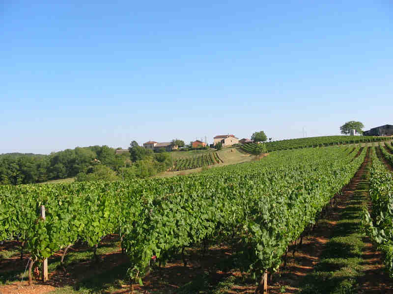 Château de Calassou