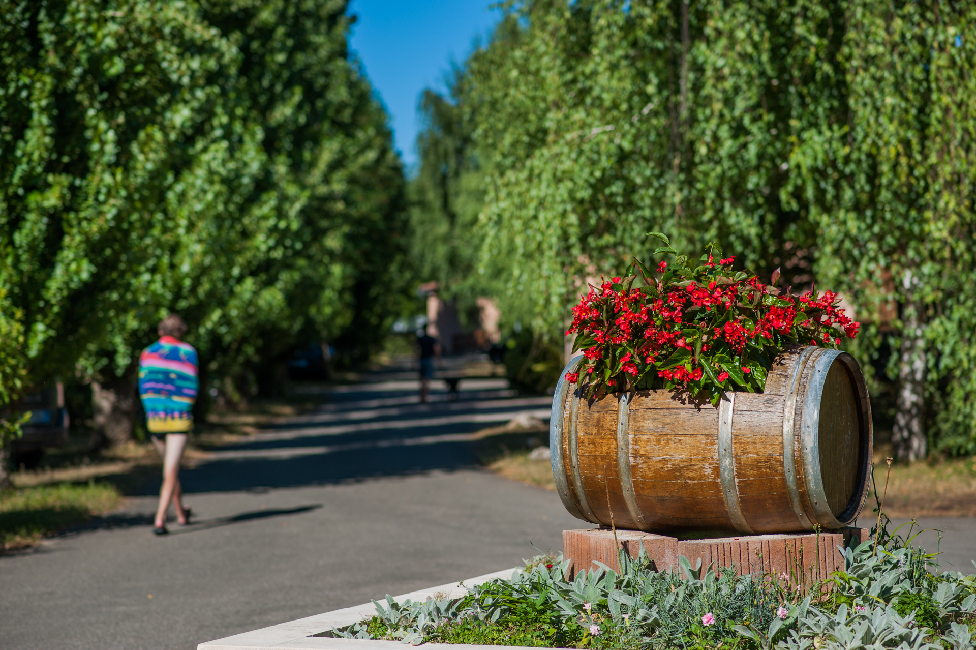 Camping Rivière de Cabessut, Cahors - photo 9