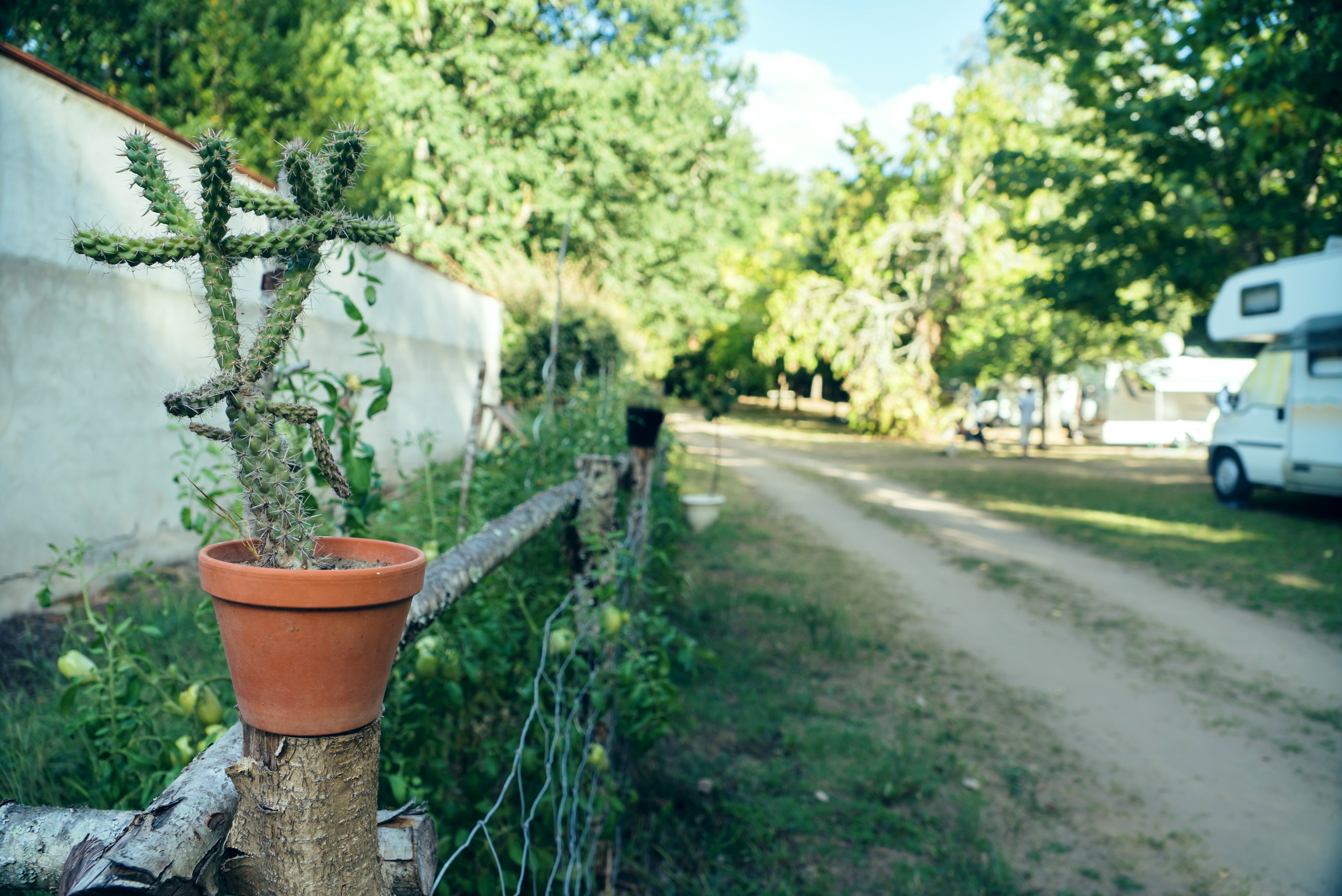 Aire Naturelle "les Grands Chênes", Pinsac - photo 8