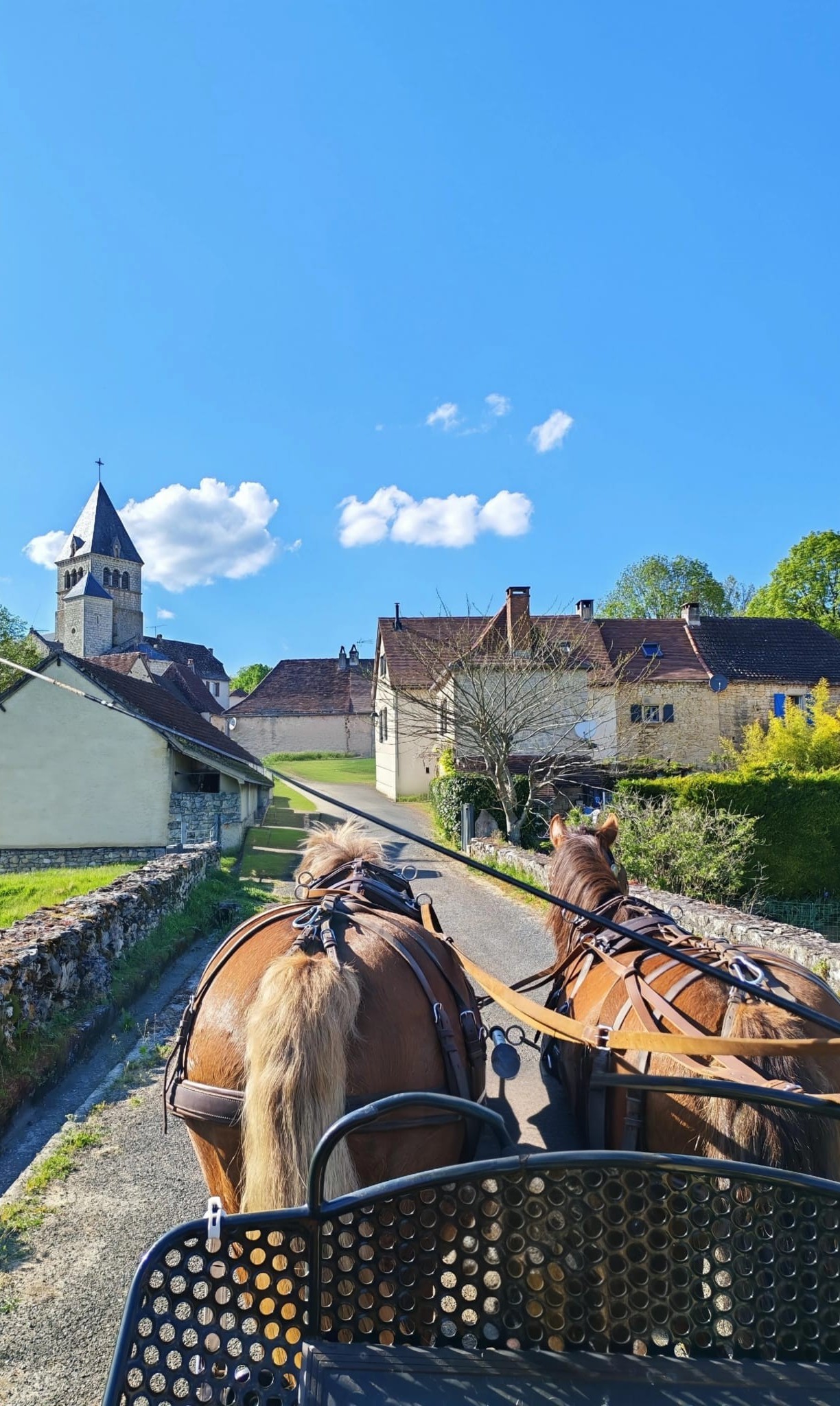 Aequita-vie, Caniac-du-Causse - photo 19