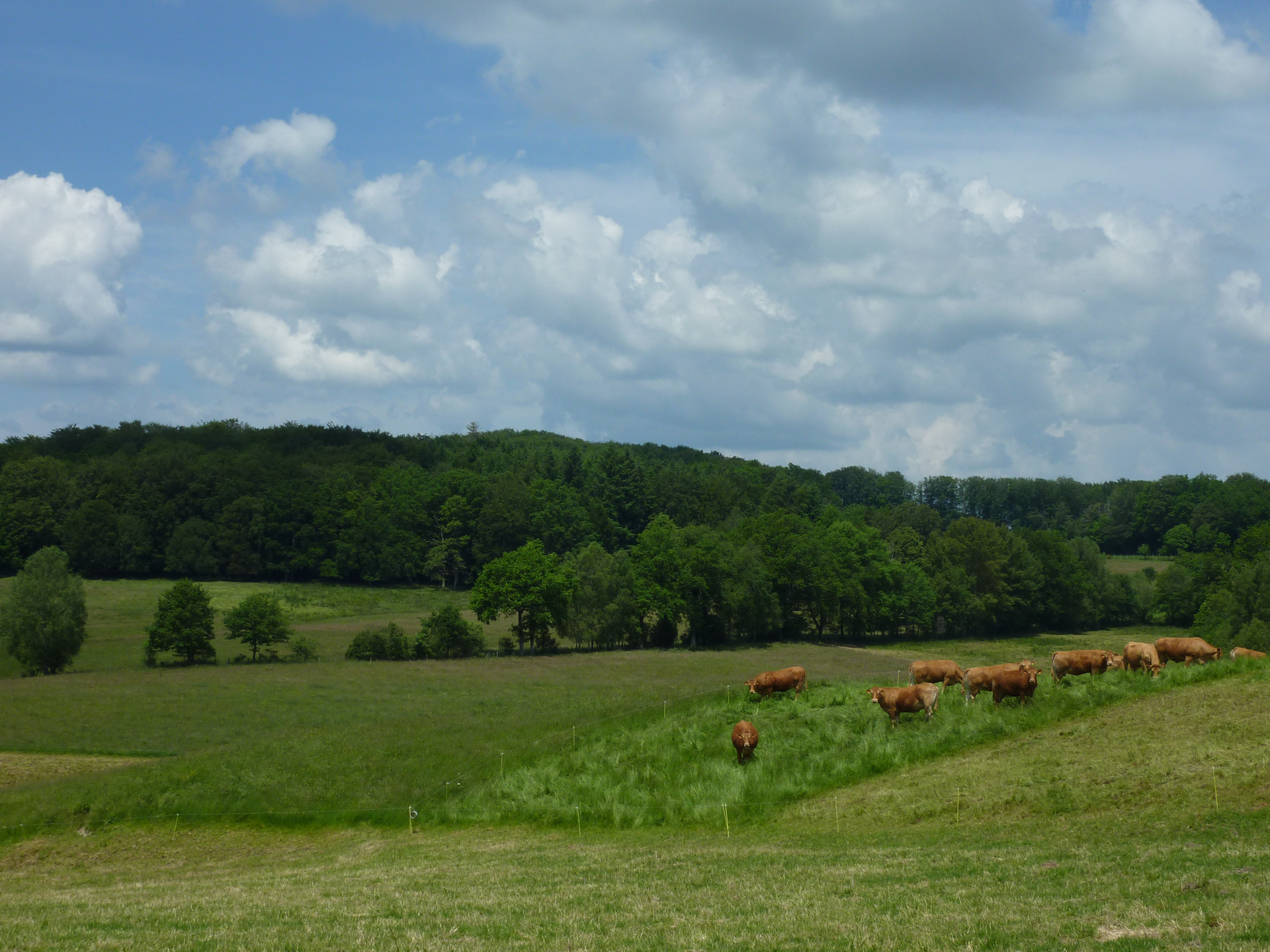 Les Jardins du Ségala, Sousceyrac-en-Quercy - photo 2