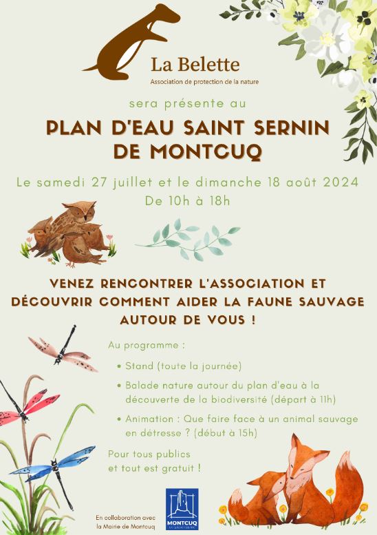 Animations de La Belette au plan d'eau Saint Sernin de Montcuq
