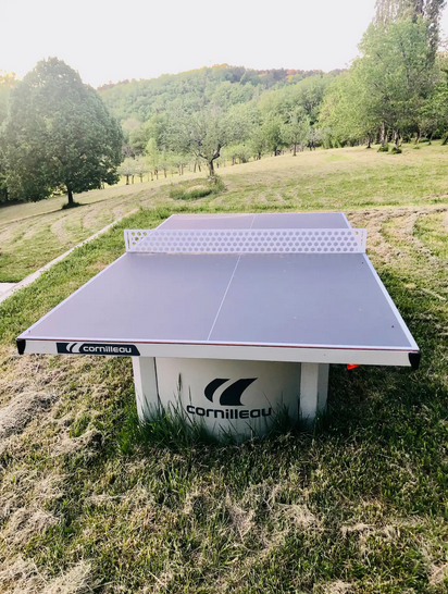 Domaine Lajanèze - Le Figuier, Montcabrier - photo 16