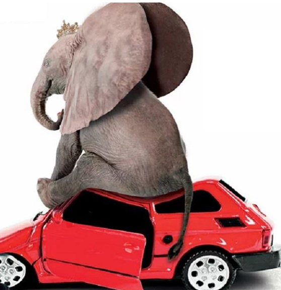 Café Théâtre Côté Rocher - ça pourrait être pire